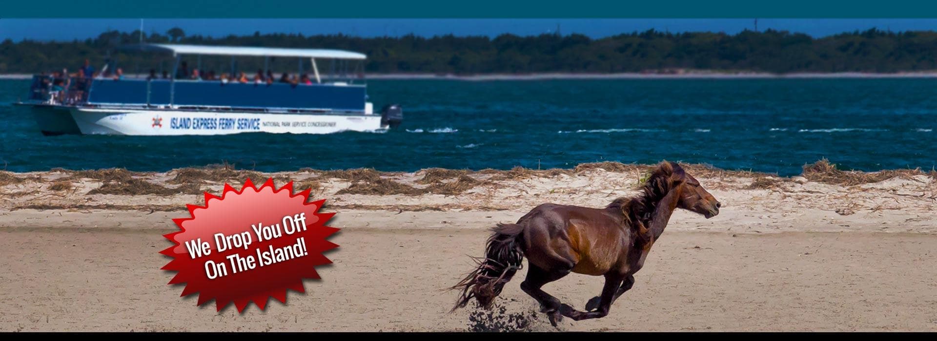 Shackleford Banks Night Sky Ferry: Meteor Shower Stargazing from Beaufort