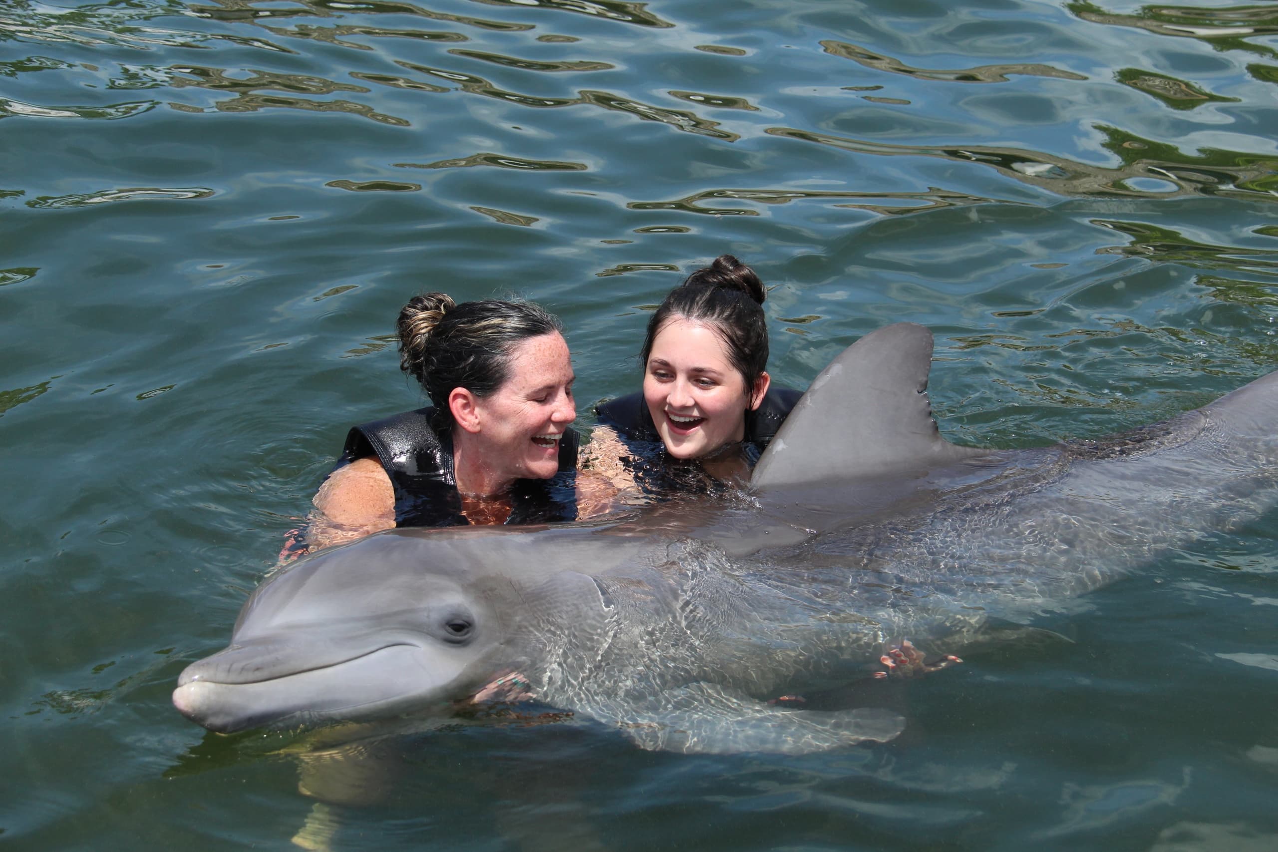 Connect to Protect Swim Experience in Key Largo, Florida