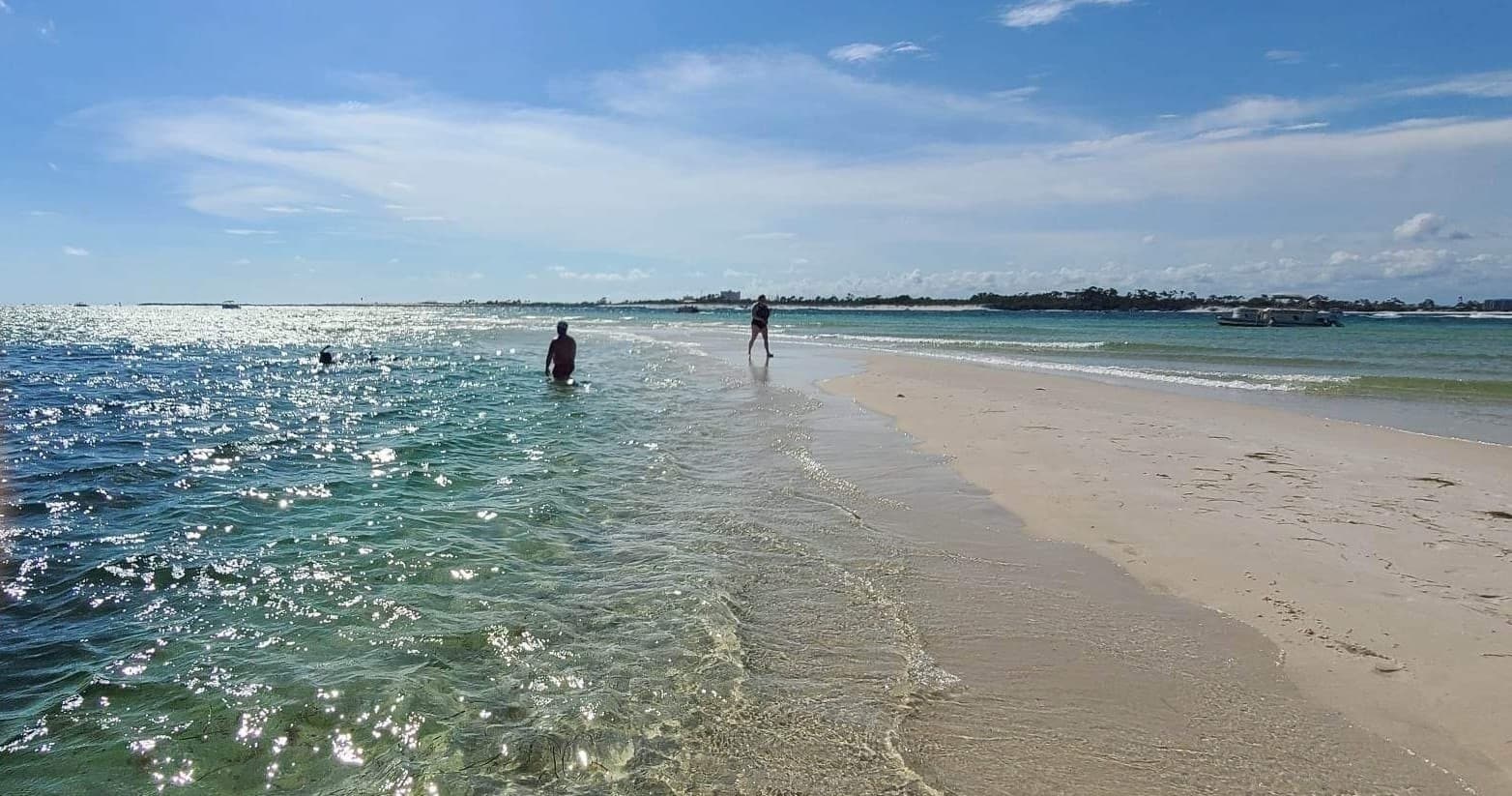 Wildlife & Nature Tour with Anchor Charters LLC in Shell Island