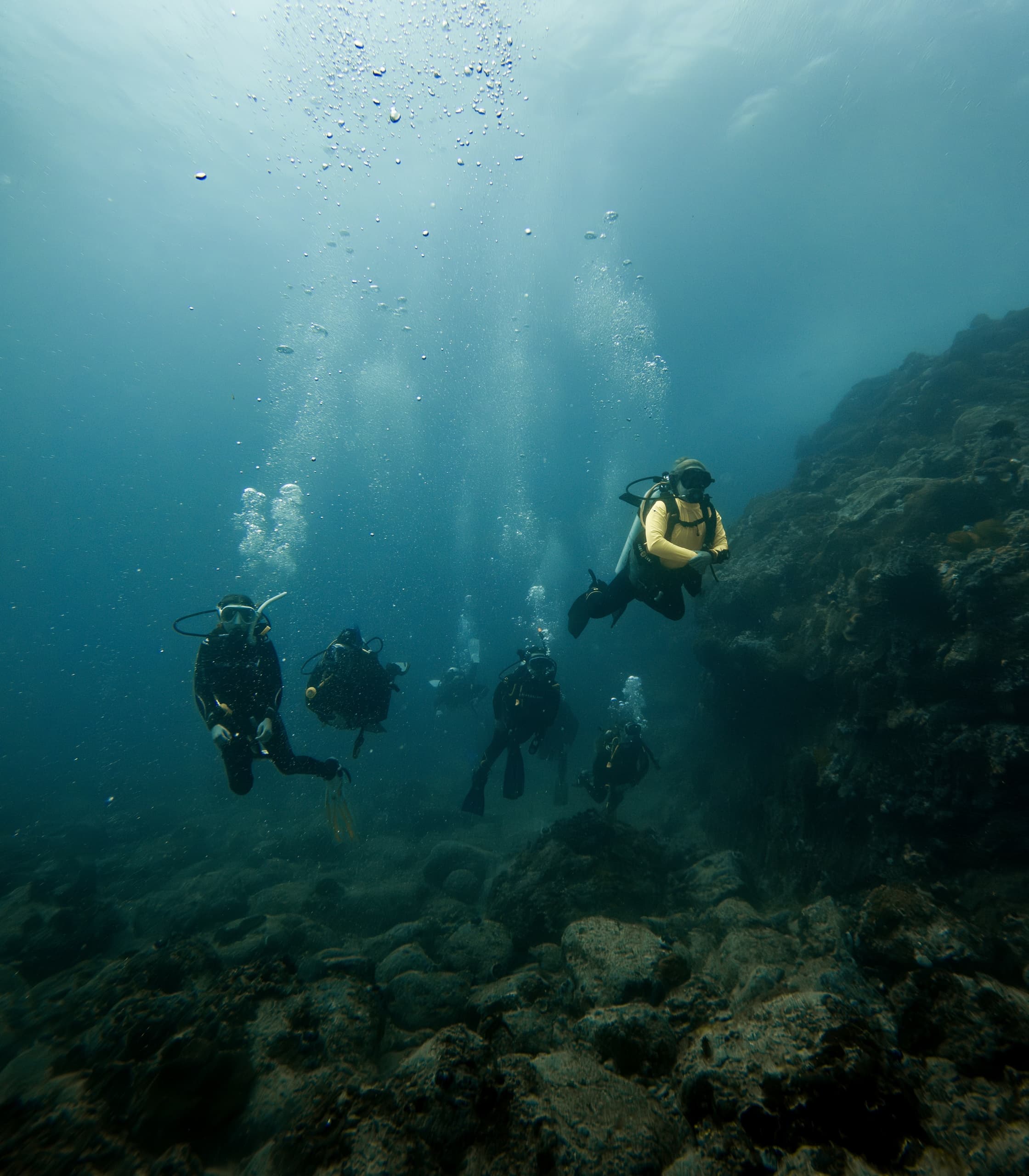 Water Activities & Dive Lord Howe: Underwater Refresh