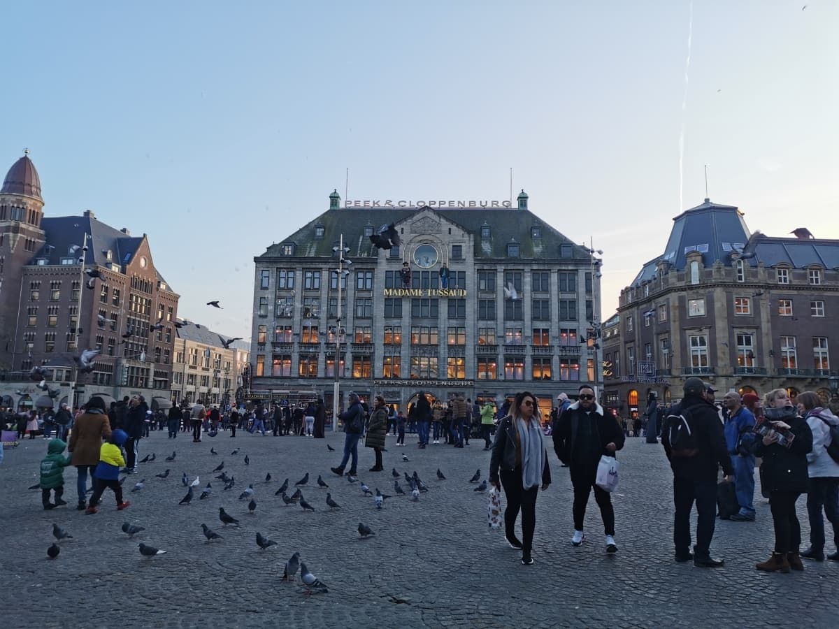 Historic City & Windmill Tour with Amsterdam in a Million