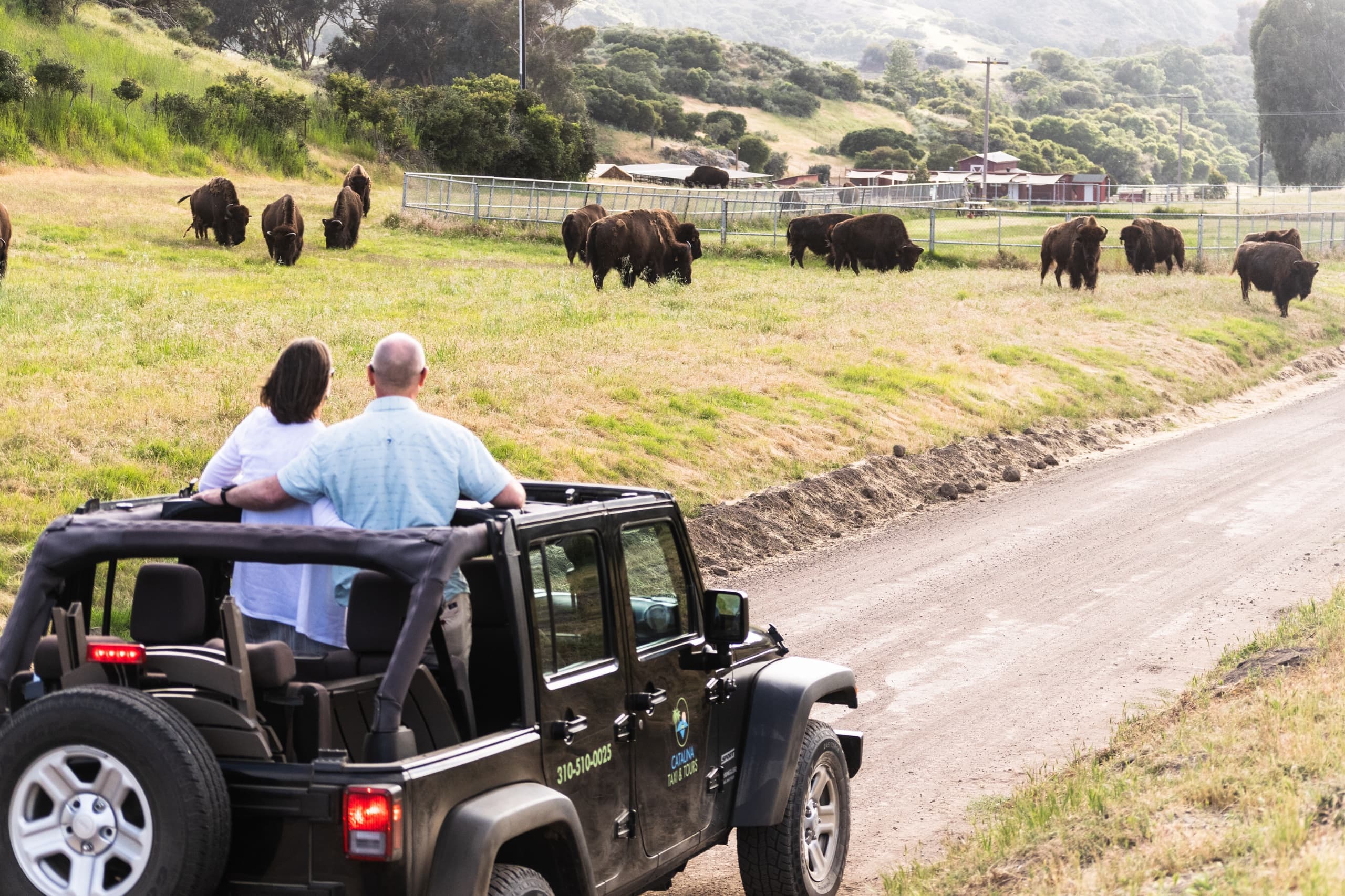 3.5 Hour Private Eco Tour | Eco Tour in Avalon, California
