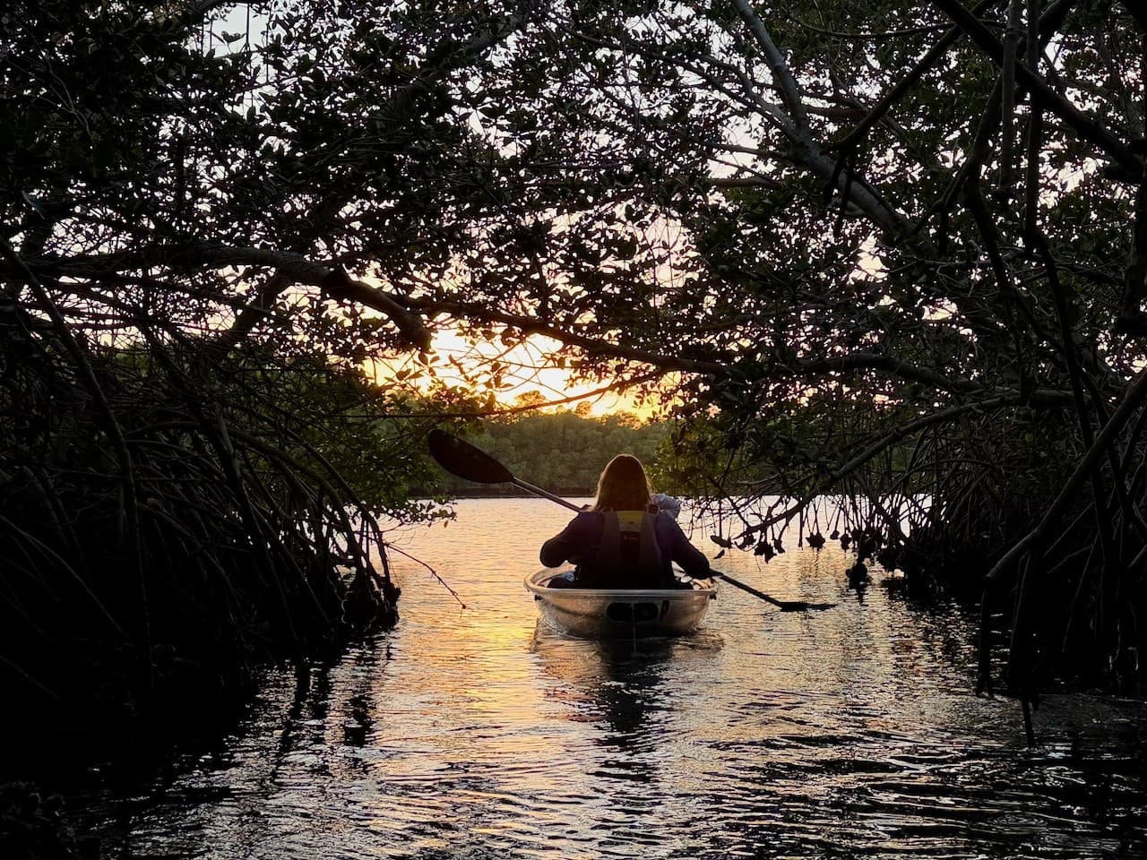 Sunset Clear-Kayak Through Cooper’s Bayou — Clearwater Mangrove Tunnel & Stingray Tour