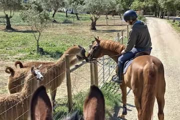 Horseback Riding in the Vineyard and Wine Tasting | Farm in Bucelas | Horse