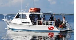 Boat Diving Adventure with Deep South Scuba in the Gulf Coast