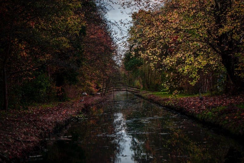 Trippy Forrest Adventure Biking with Party City Amsterdam