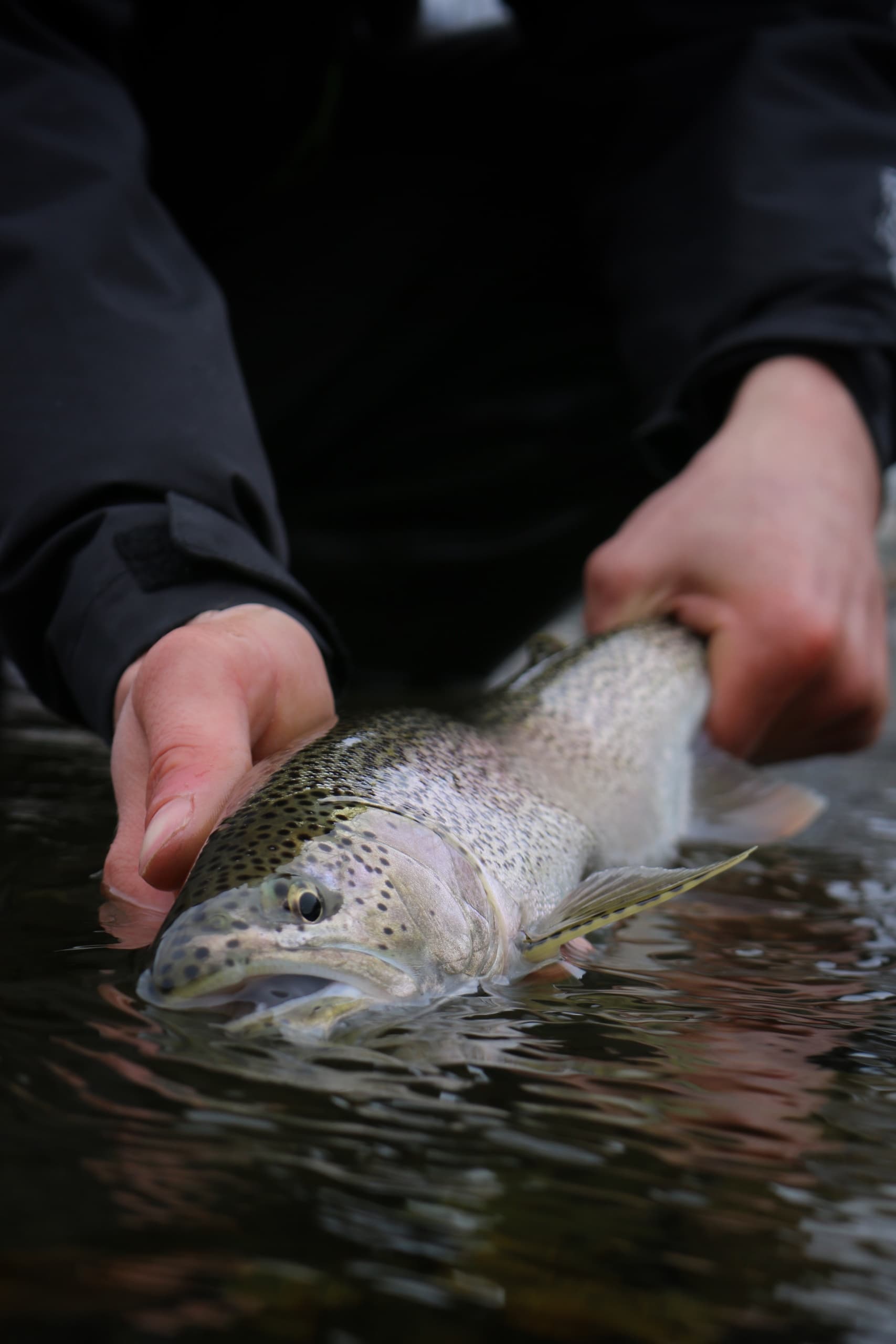 Fishing Adventure with Northern BC Outfitters in BC