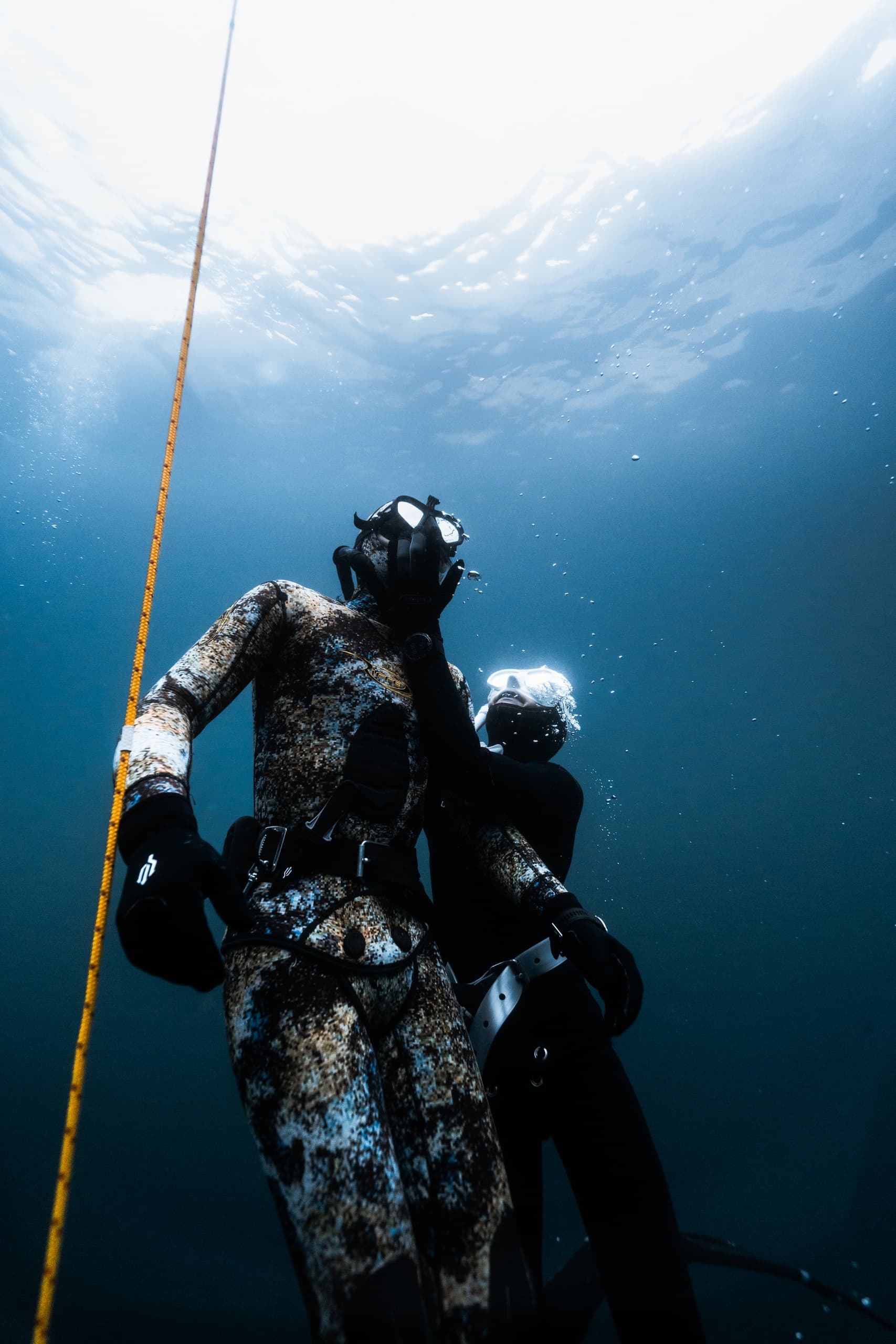 Advanced Freediver Course in Monterey, California