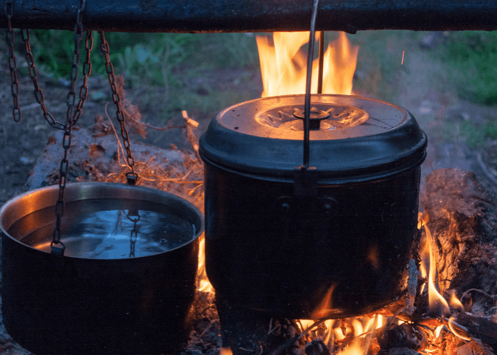 Kaikōura Private Forage, Fire & Smoke — Coastal Foraging and Wood-Fire Cooking Experience