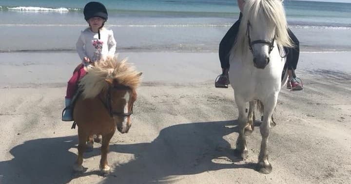 Family Equestrian Fun at Tiree Equestrian