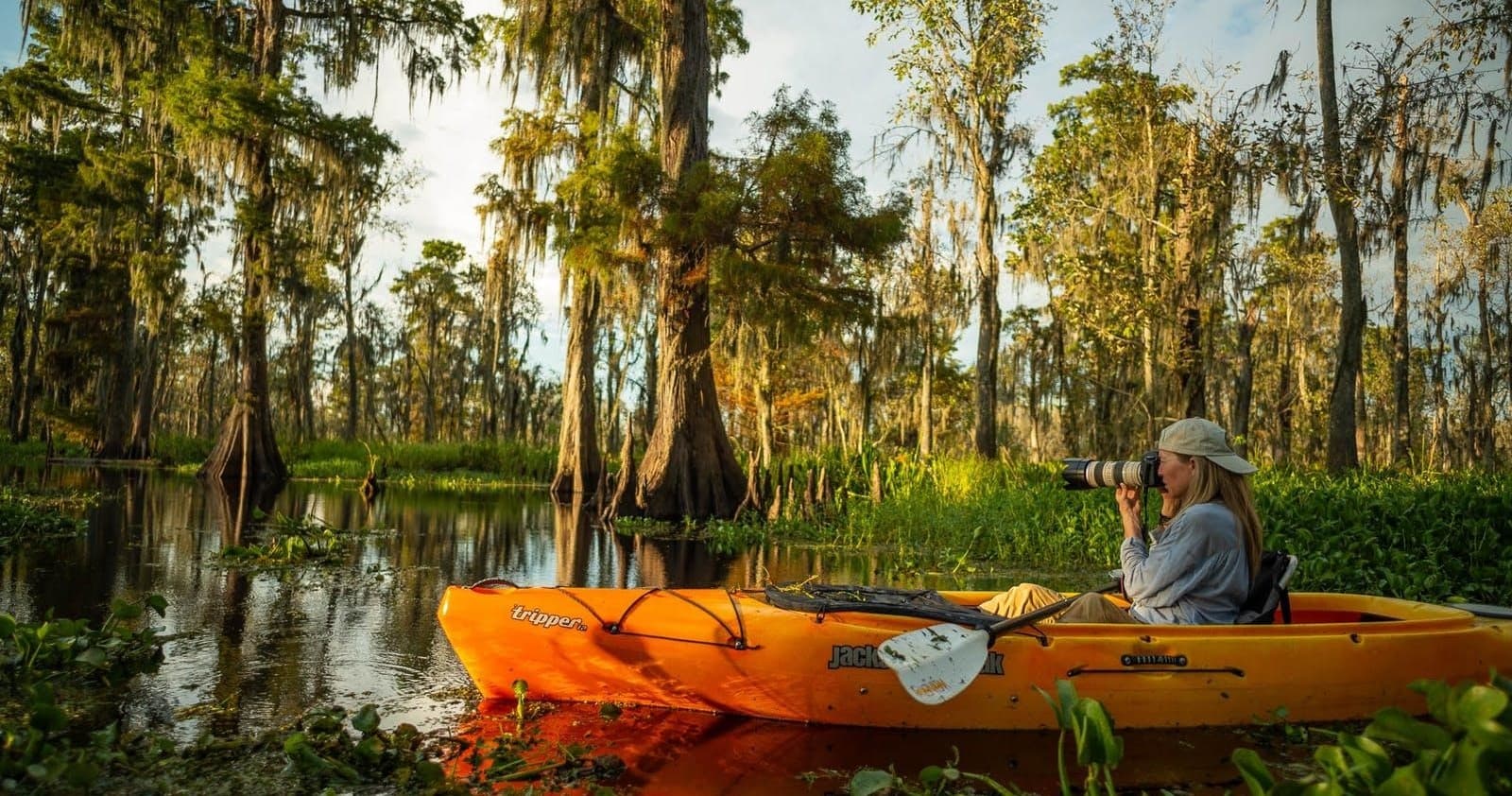 Solo kayaker navigating cypress swamp with Spanish moss