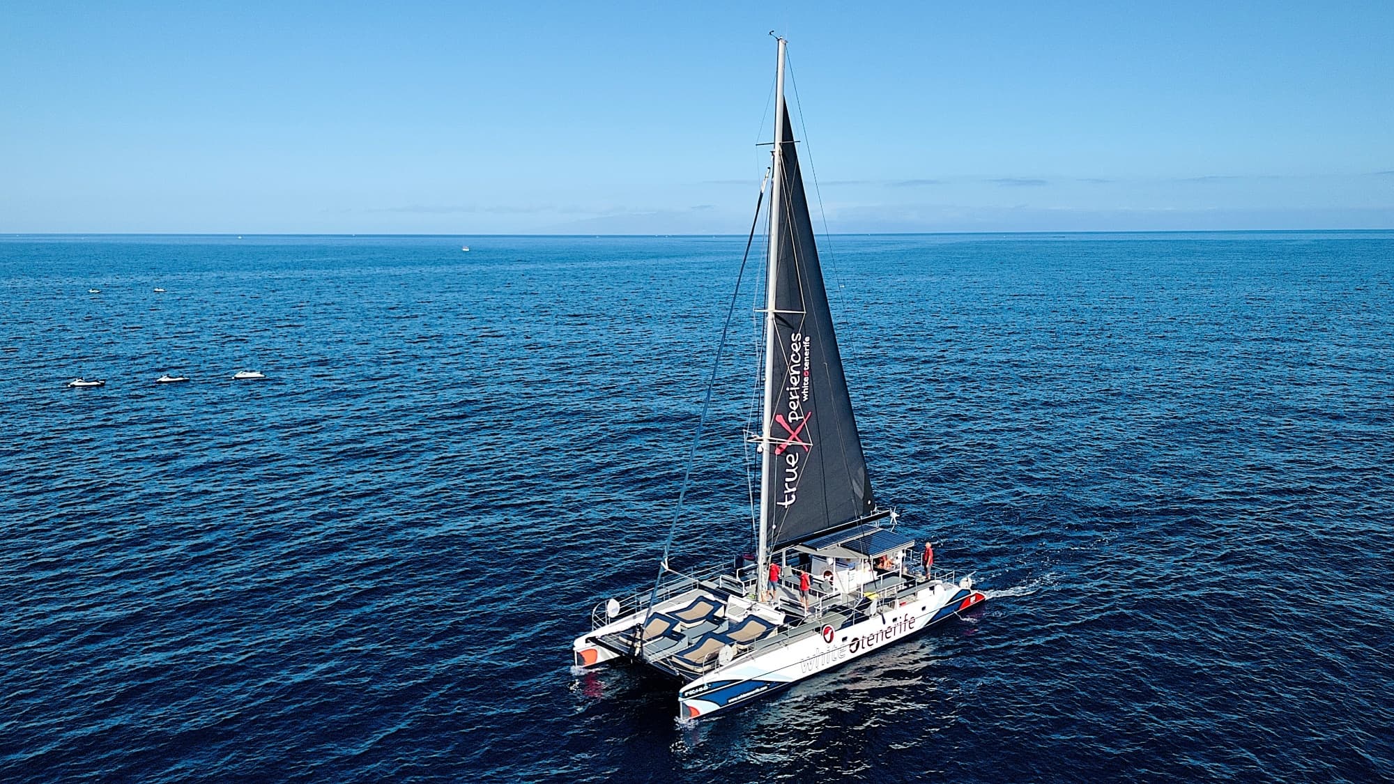 Whale & Dolphin Watching with White Tenerife in Costa Adeje