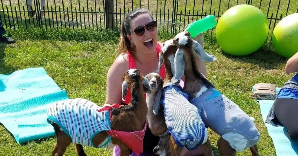 Hopewell Valley Baby Goat Feeding & Wine Experience