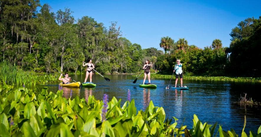 One Hour Paddlesport Rental