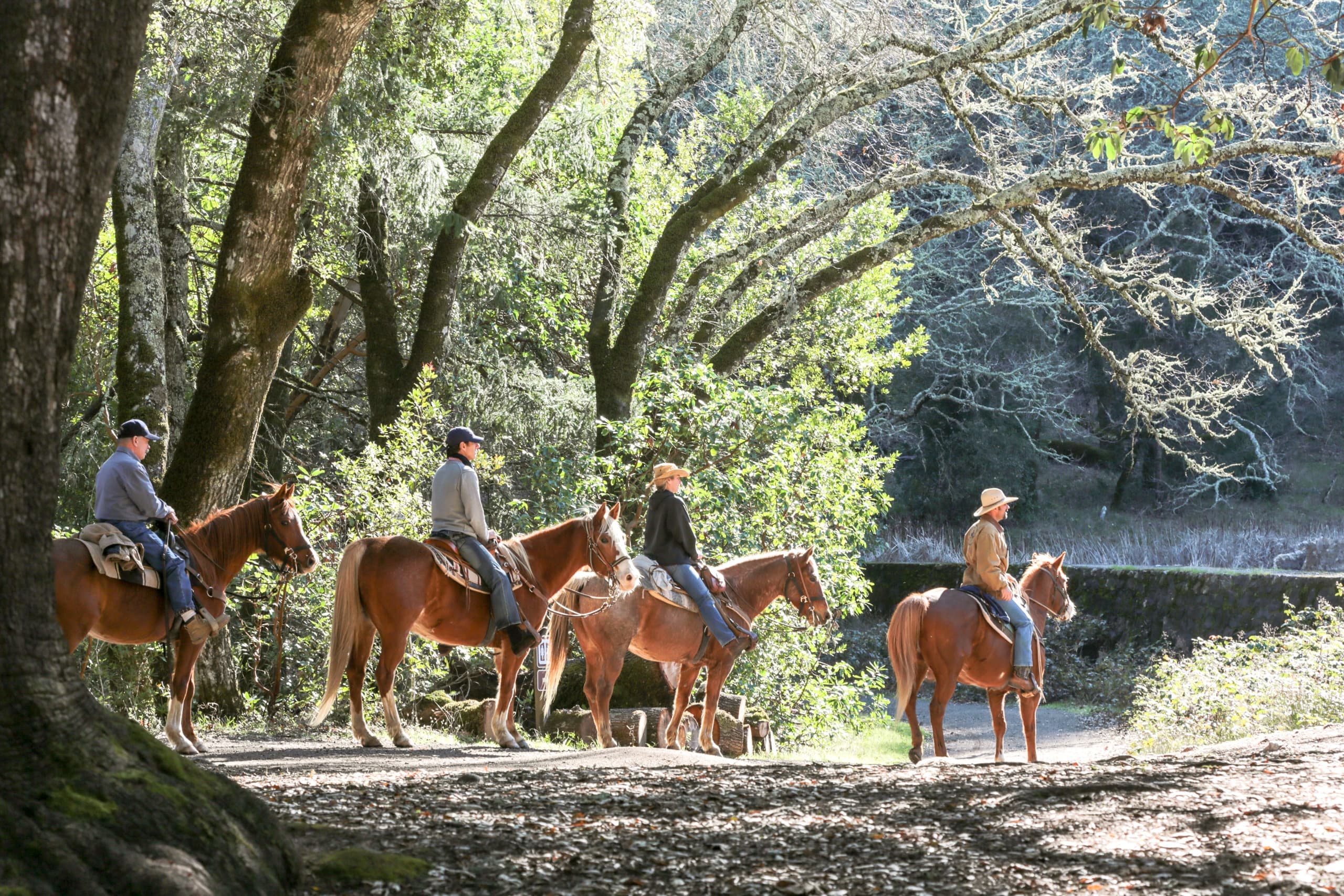 Private Horseback Rides at Jack London Park by Triple Creek