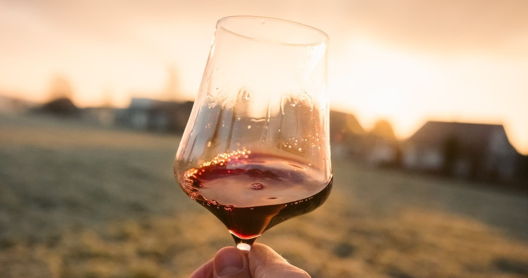Explore the Susquehanna: Mother’s Day Kayak & Wine Tour at Bartolai Winery