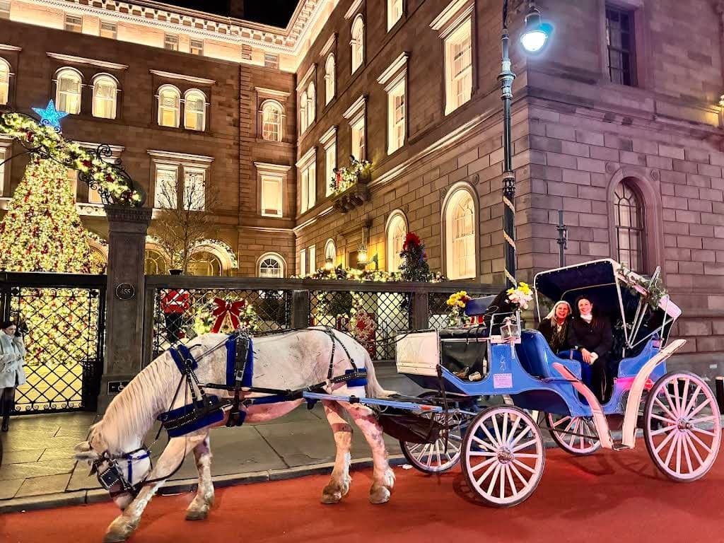 Christmas Tree VIP Tour: Horse-Drawn Holiday Carriage Ride in Carrollton