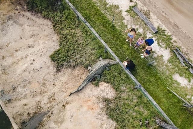 Behind-the-Scenes at Koorana: Private Saltwater Croc Encounter near Coowonga photo 2