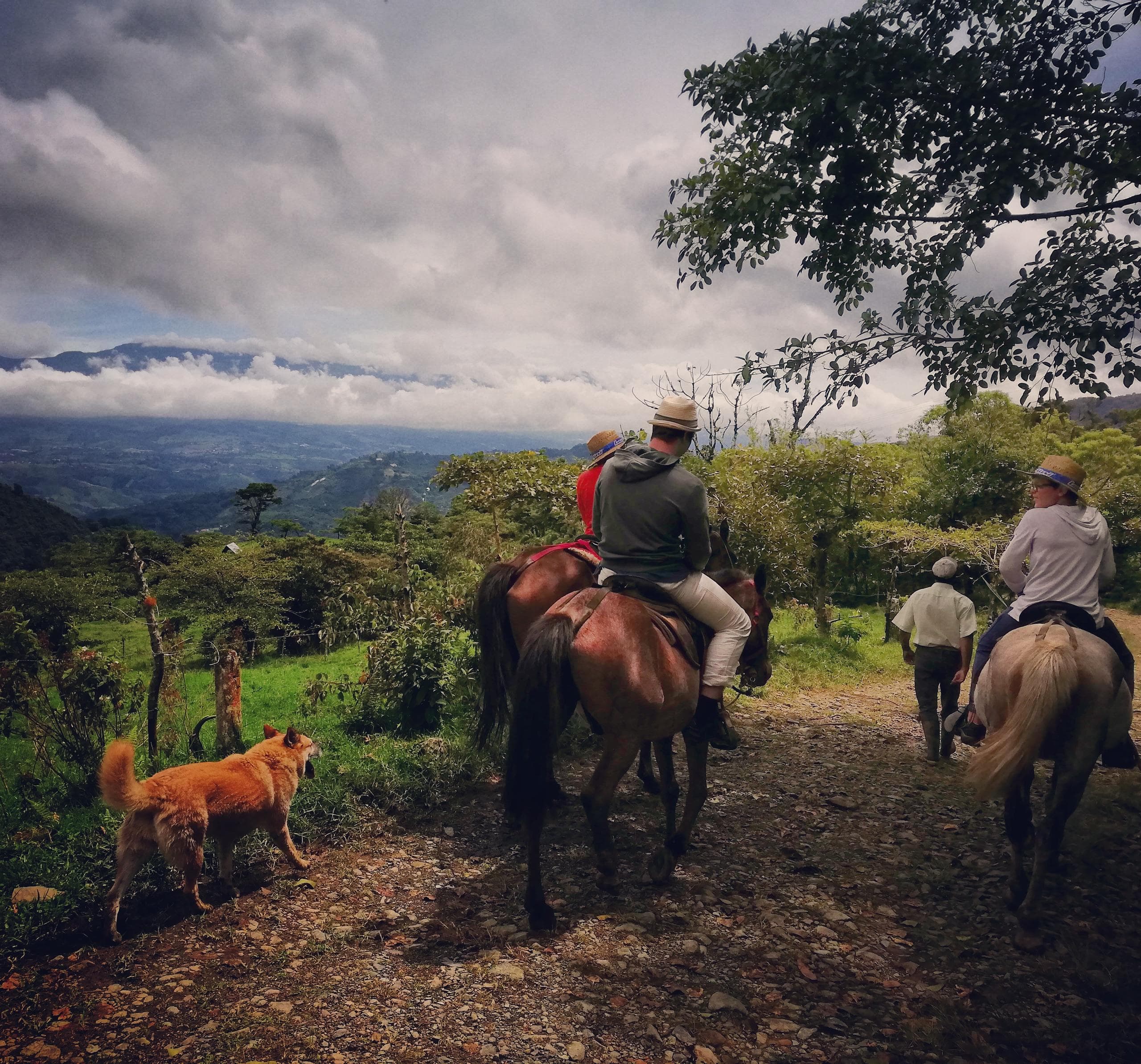 Afternoon Horseback Tours with Queveri in Costa Rica
