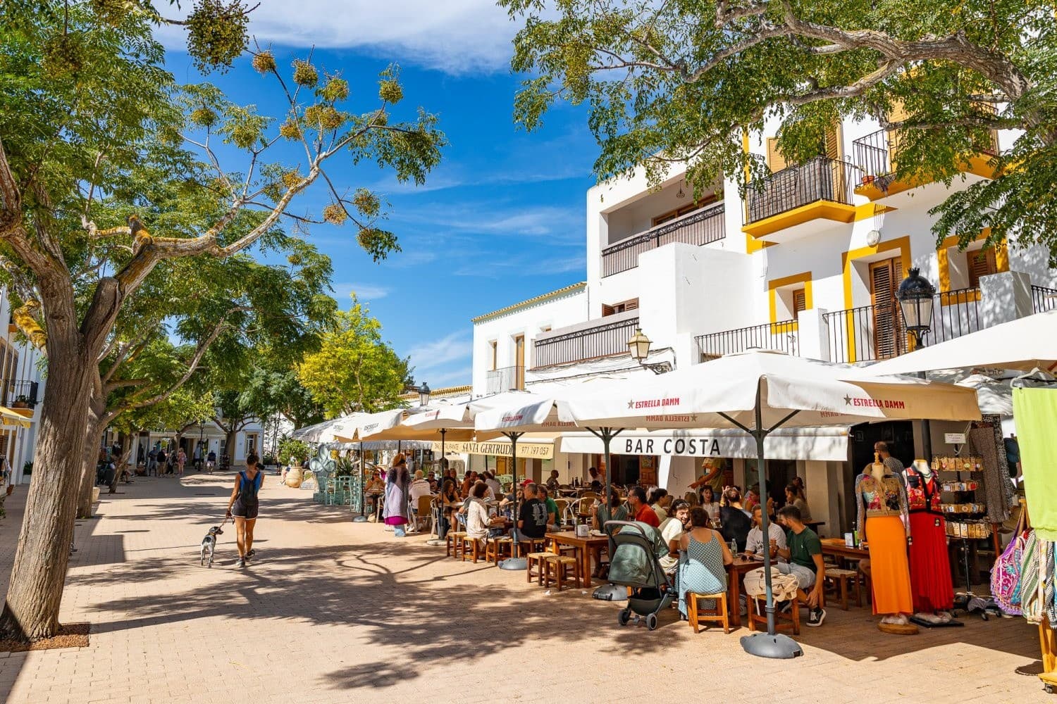 E-Bike Tour Ontdek St. Gertrudis — Explore Ibiza’s Olive & Almond Country photo 1