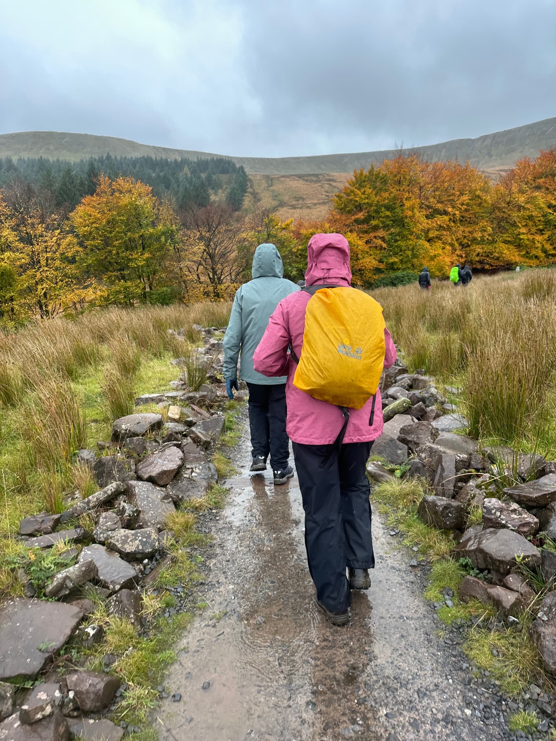 Brecon Beacons Rail & Valley Walk: Taf Fechan, Reservoir Ruins & Dramatic Views photo 3