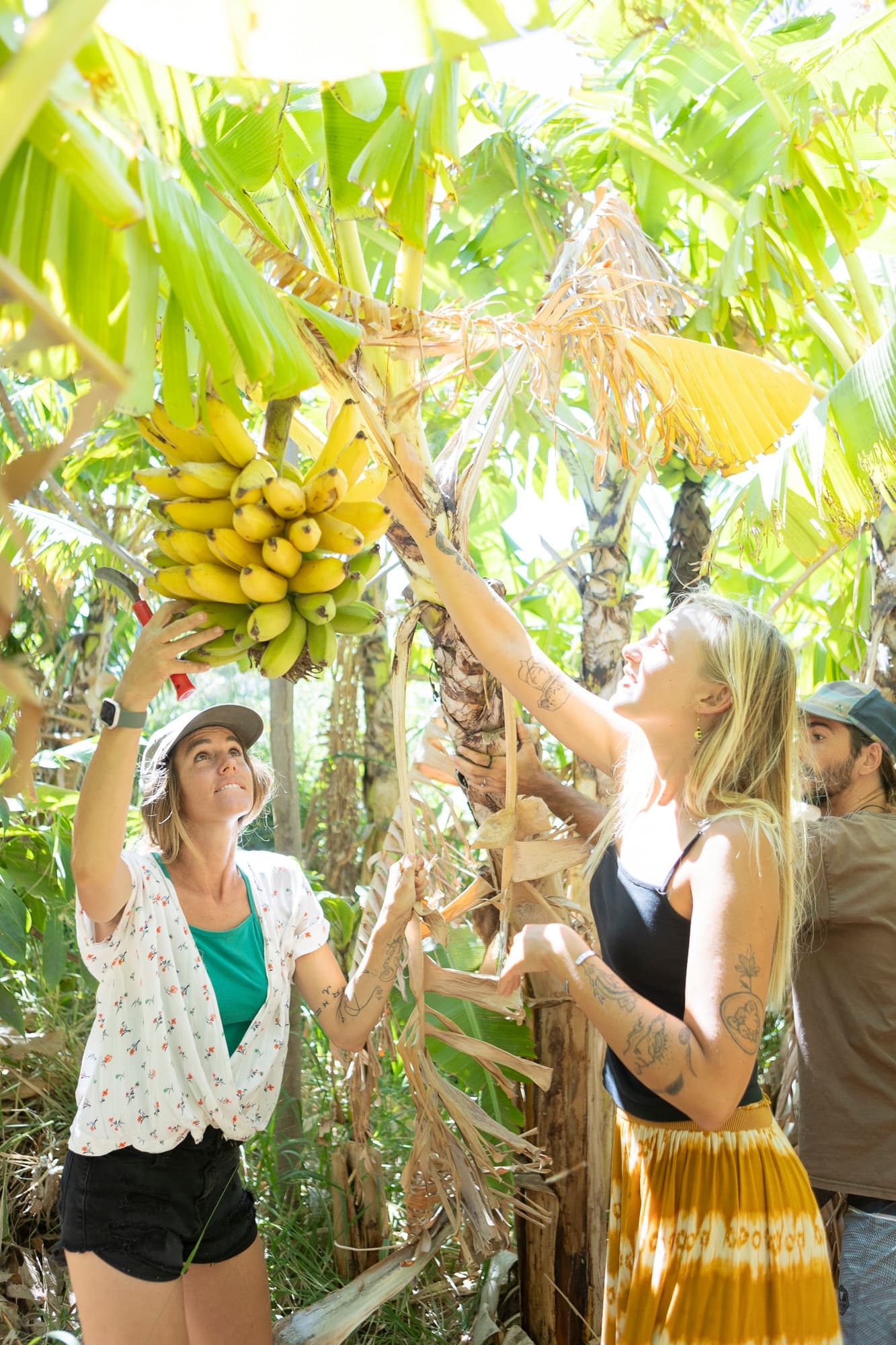 Farm Tour & Tasting at La Kahea Community Farm in Maui