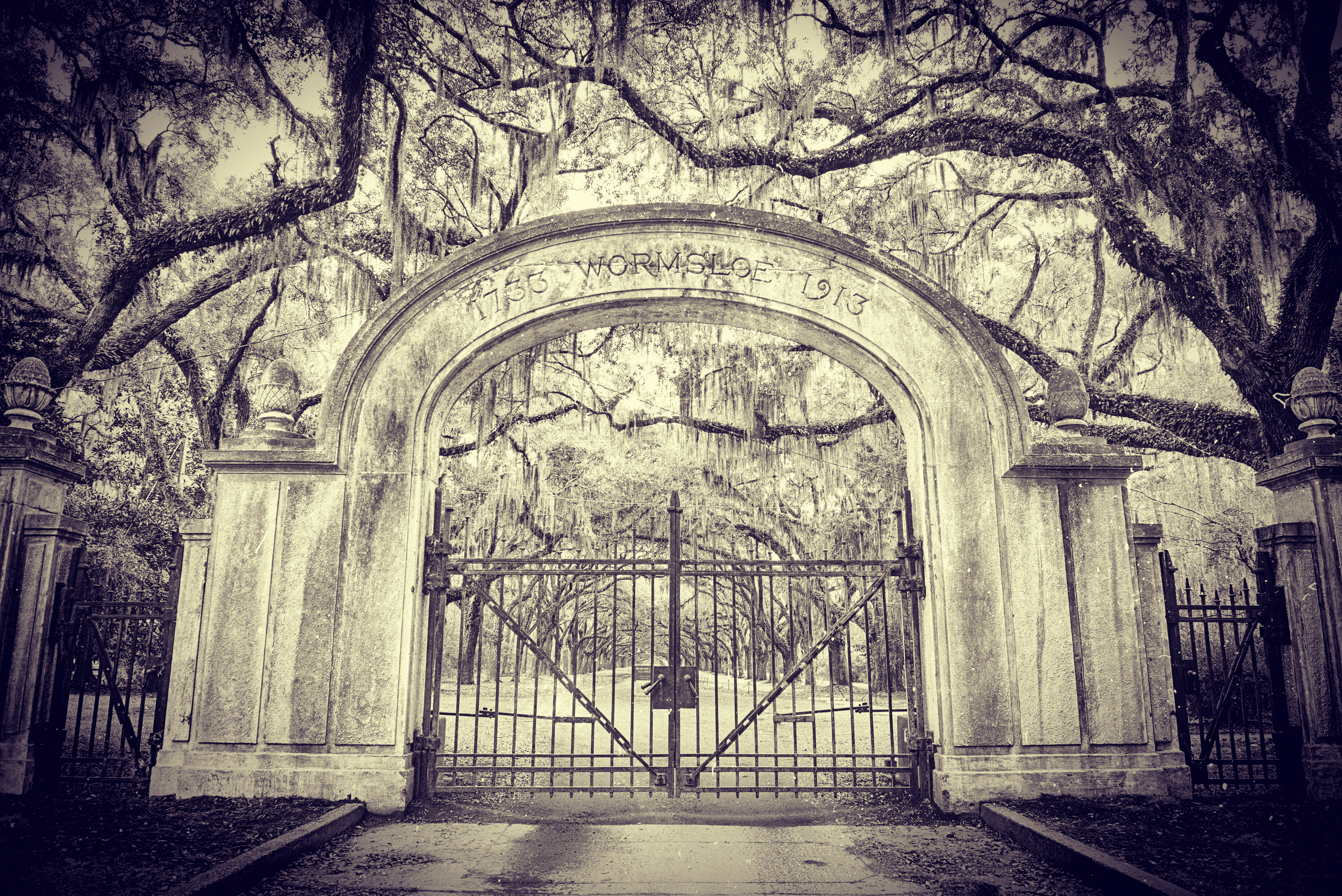 Explore Savannah’s Haunted History on a Psychic Guided Ghost & Cemetery Tour