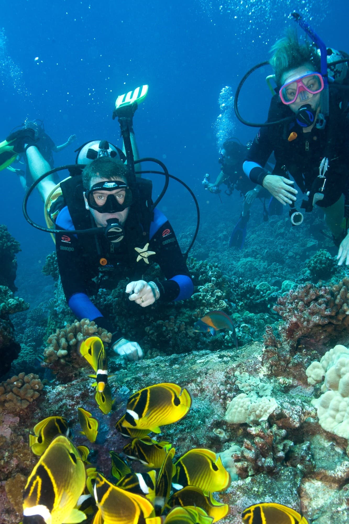 Honolua Bay Scuba Charter: Maui Morning Dives for Turtles, Reefs & Manta Rays photo 1