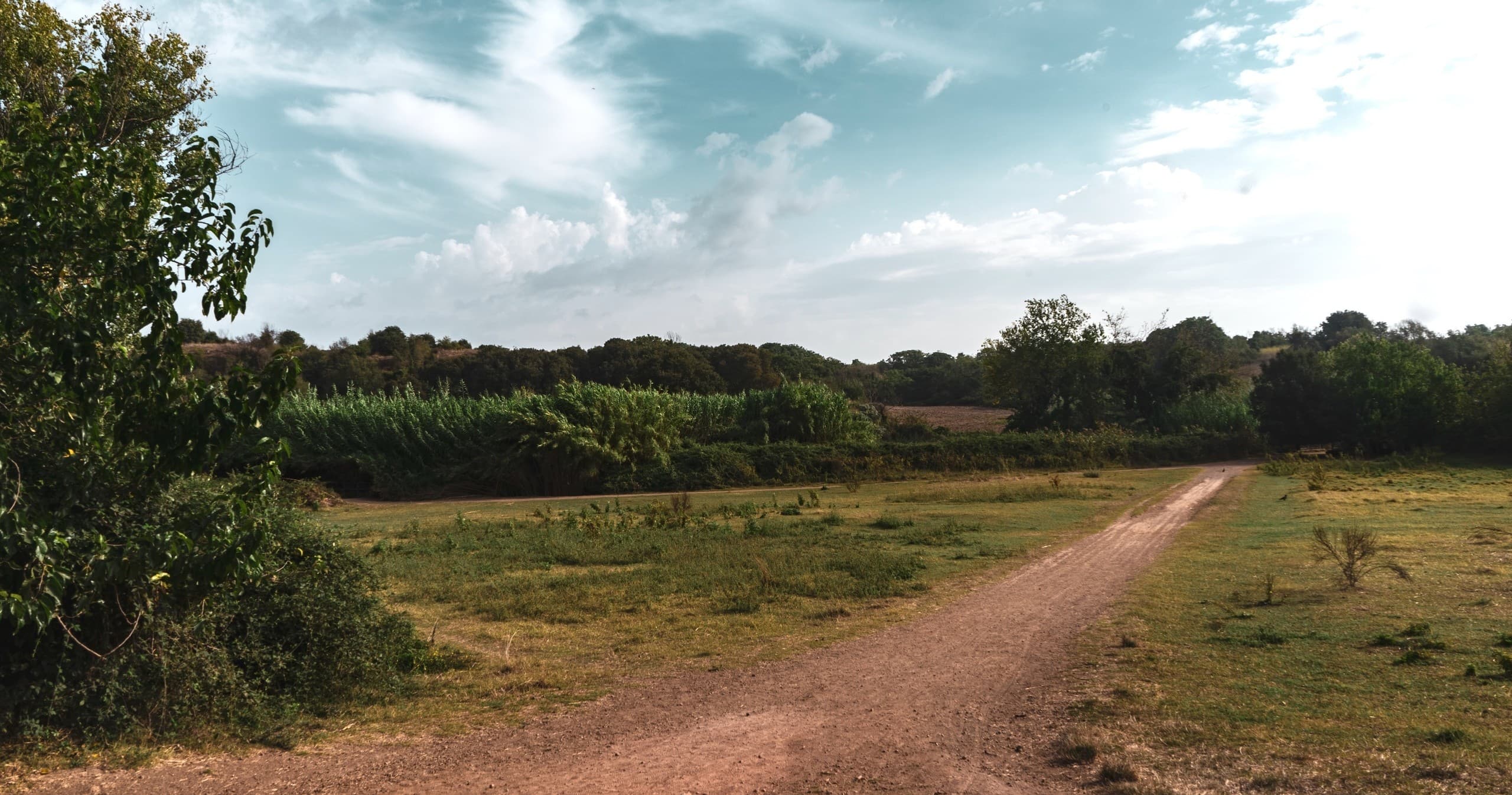 Guided Nature Walk in Rome's Hidden Caffarella Park with Nature of Sal