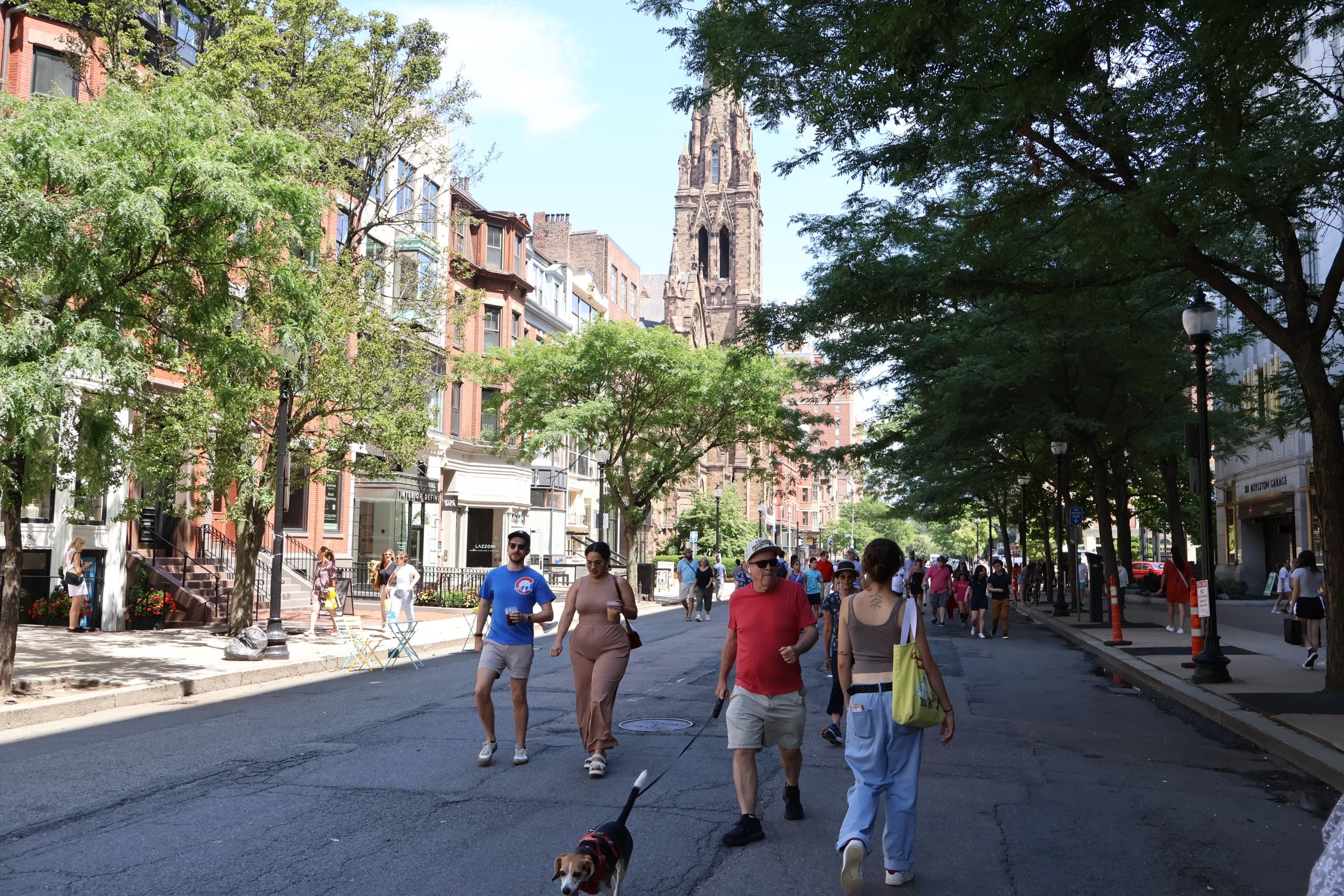 People walking down a tree-lined city street on walking tour