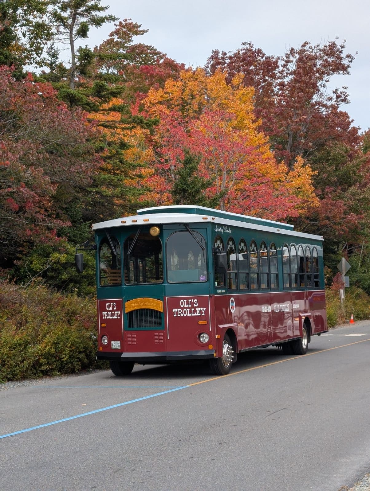 2.5 Hour Acadia National Park Tour in Bar Harbor
