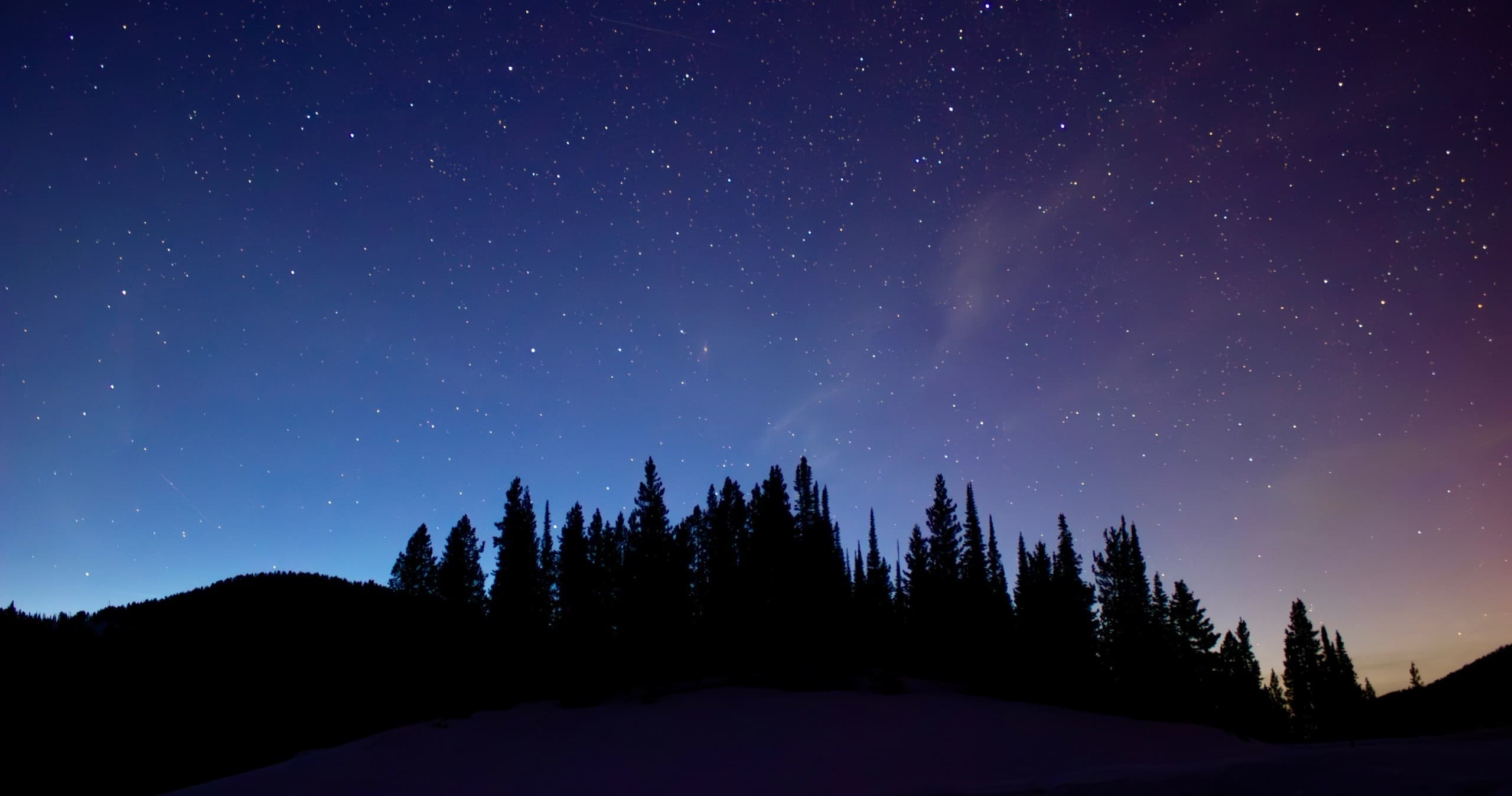 Explore Yellowstone’s Northern Range on a Winter Wildlife Safari