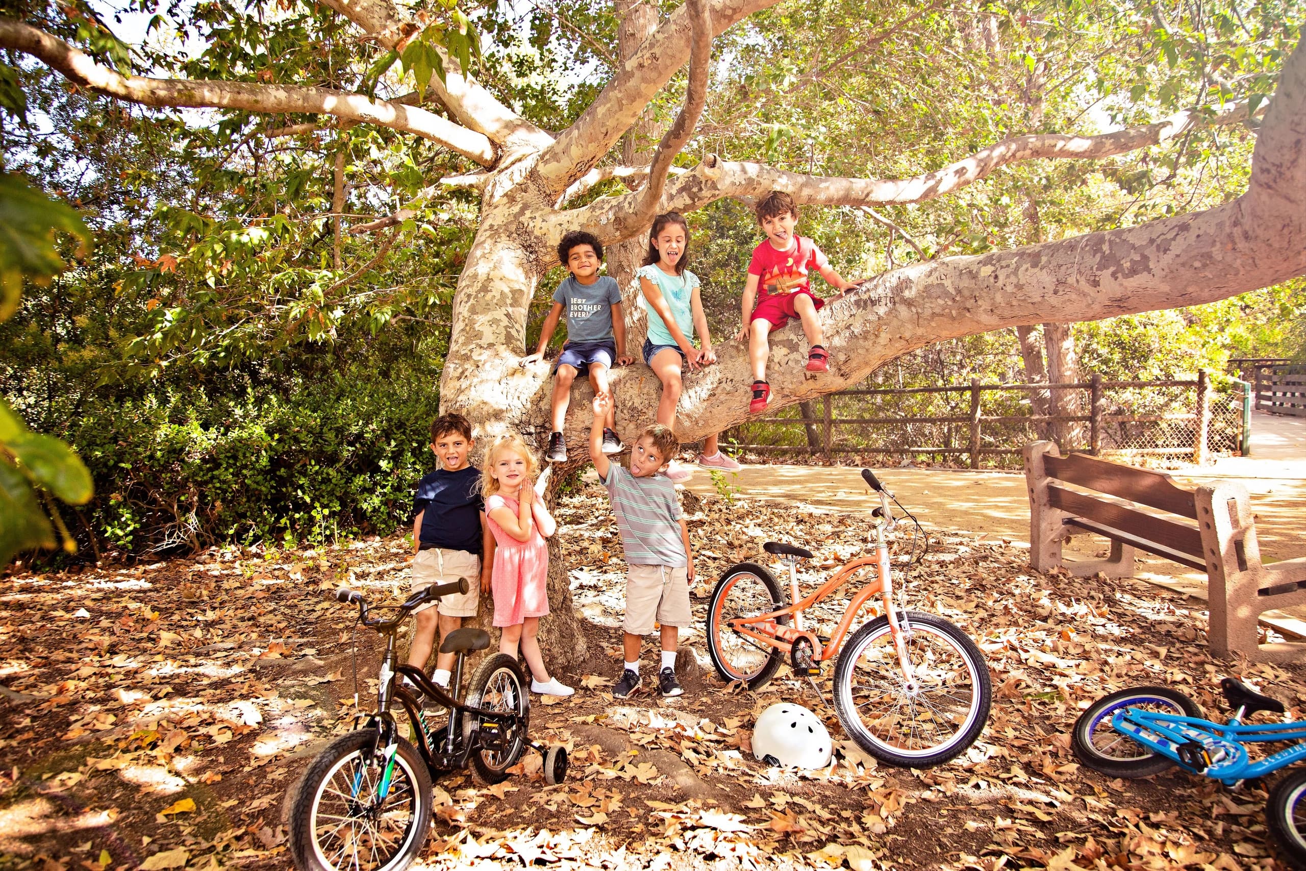 Child Bike Rentals at Pedego St. Augustine - Family Fun in Florida