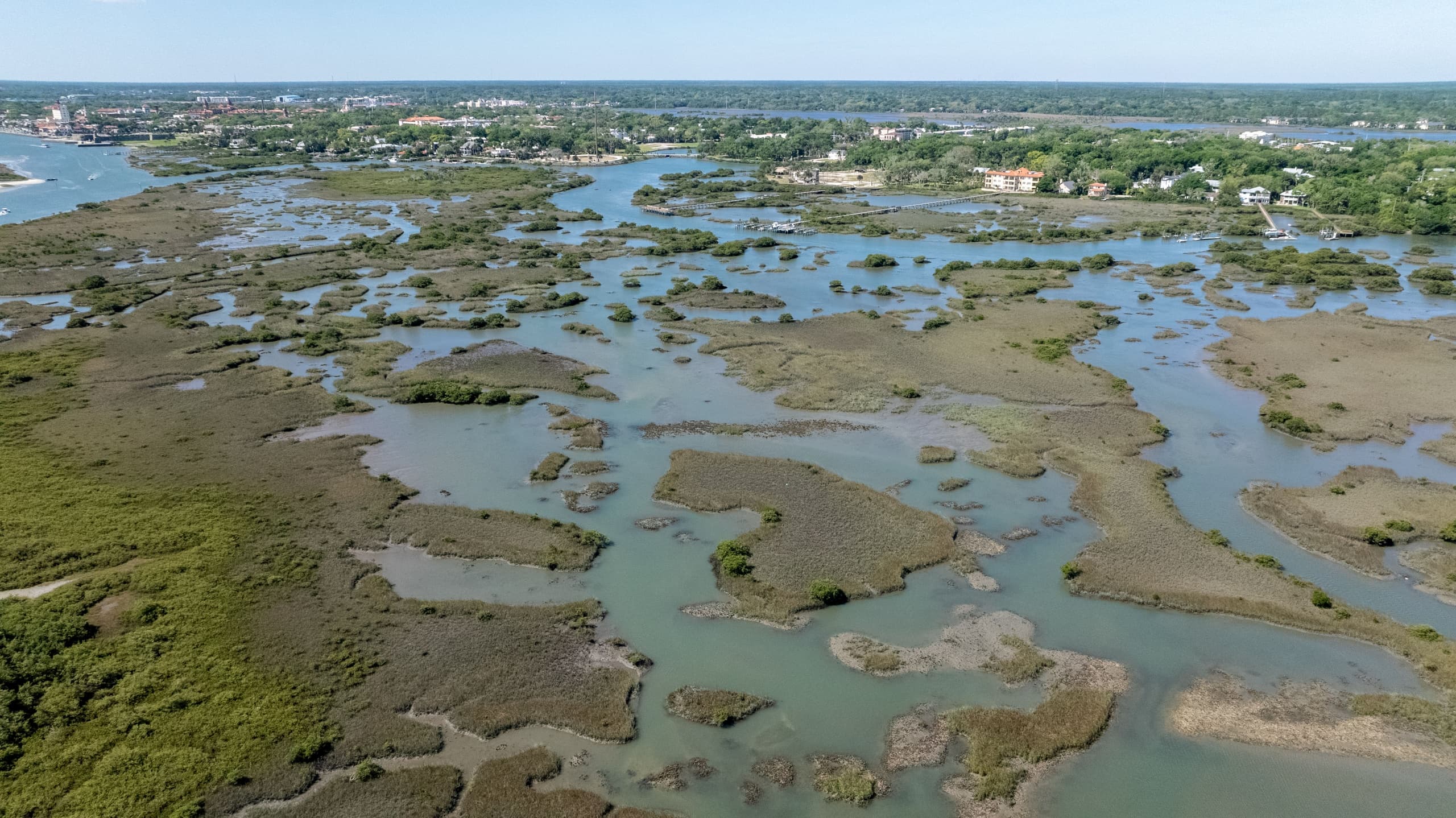 Eco Tour in St. Augustine, Florida