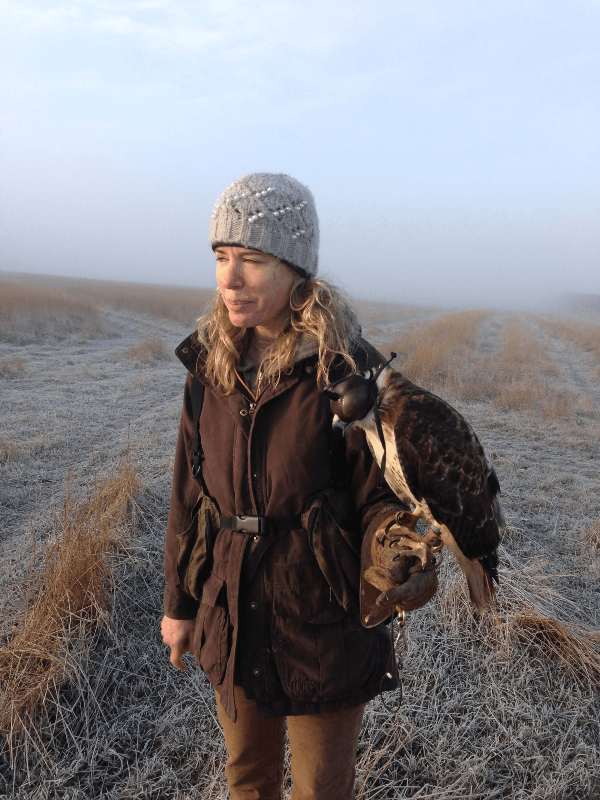 Wildlife & Nature Falconry at Wing Blade Falconry