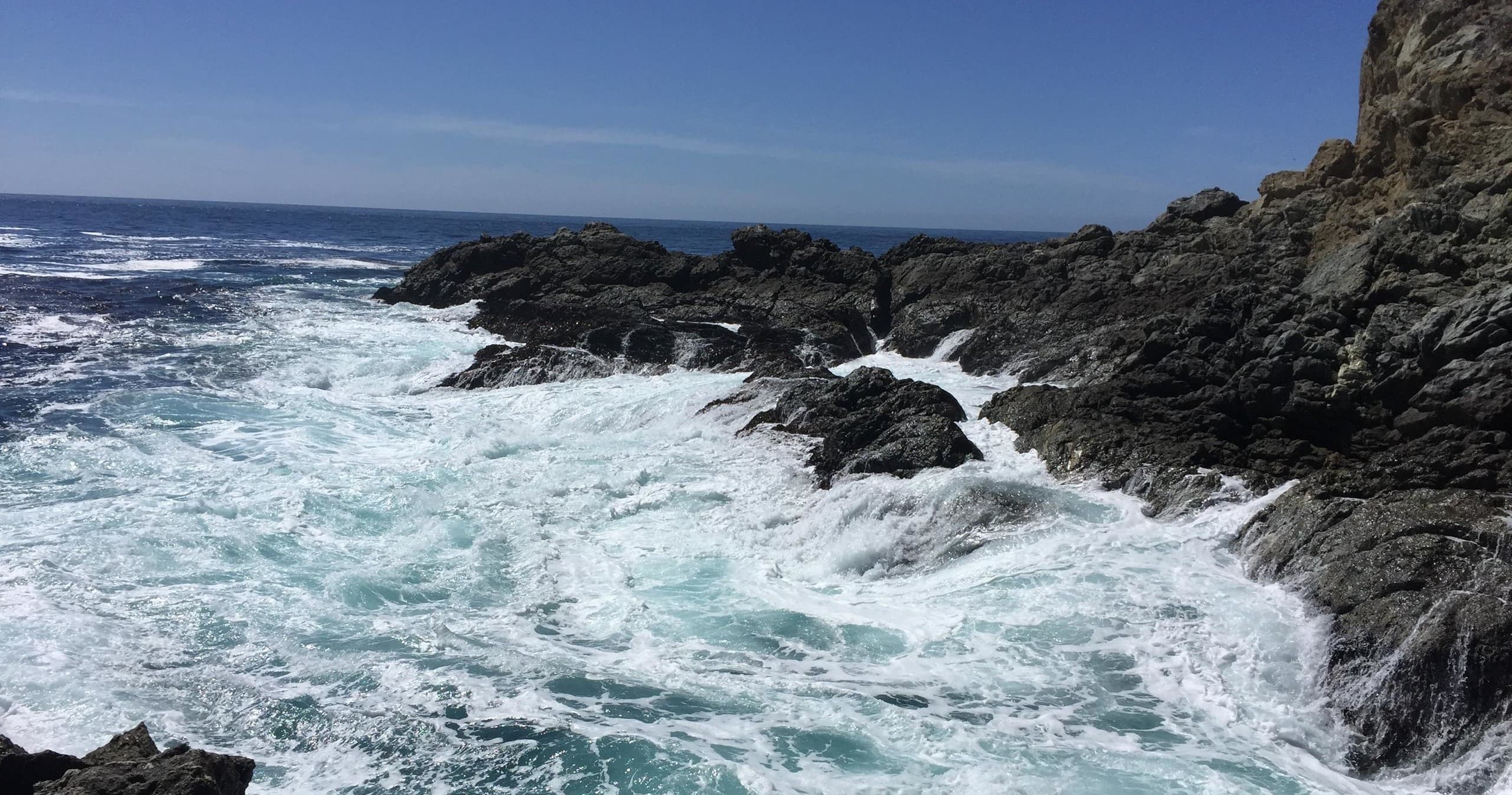 Big Sur Guided Tours’ Private Hiking Excursion in California