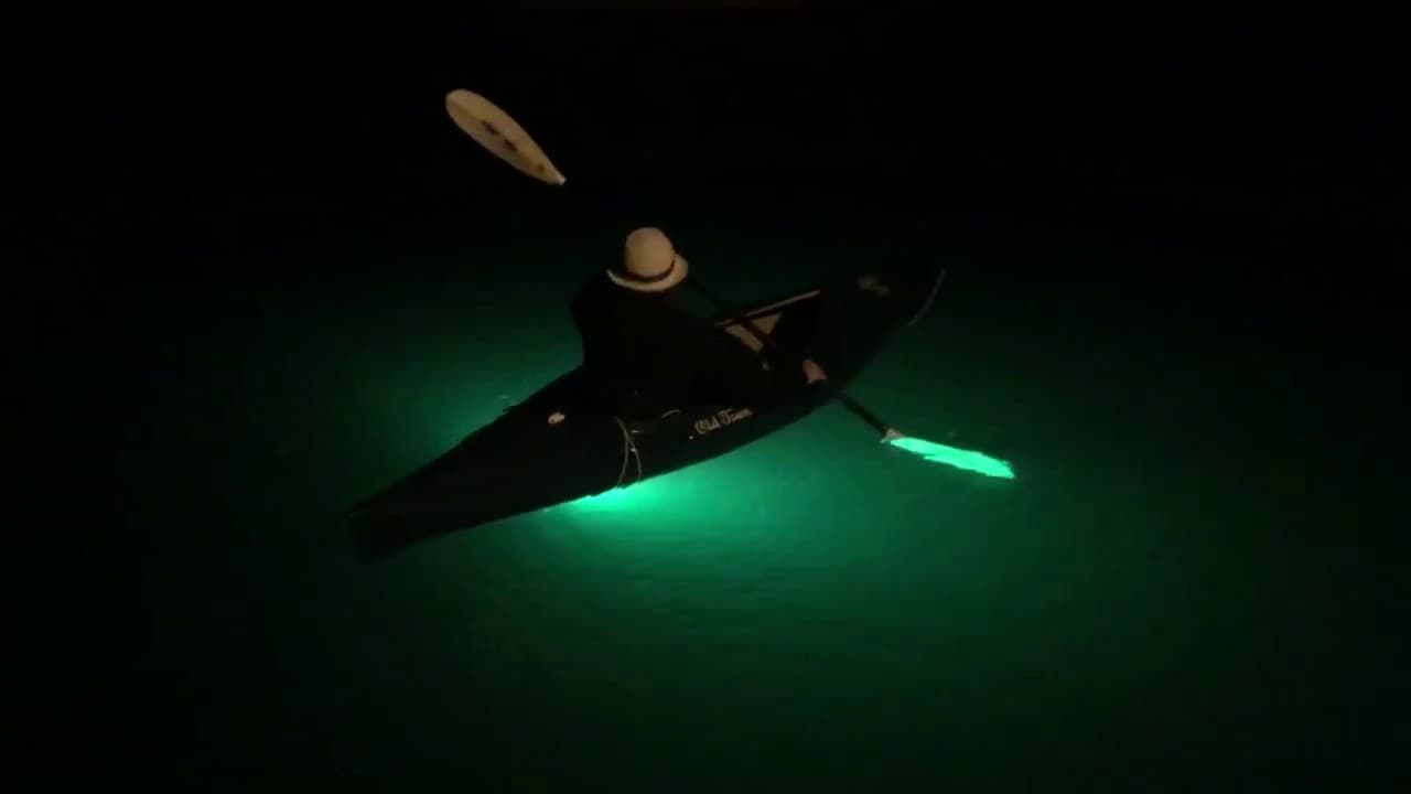 Twilight Paddle Tours with Beach Town Tours in Galveston