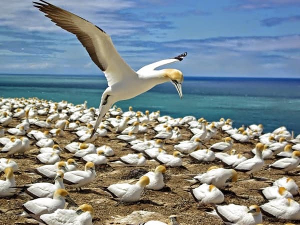 Coast to Coast Eco Tour with Auckland & Beyond Tours