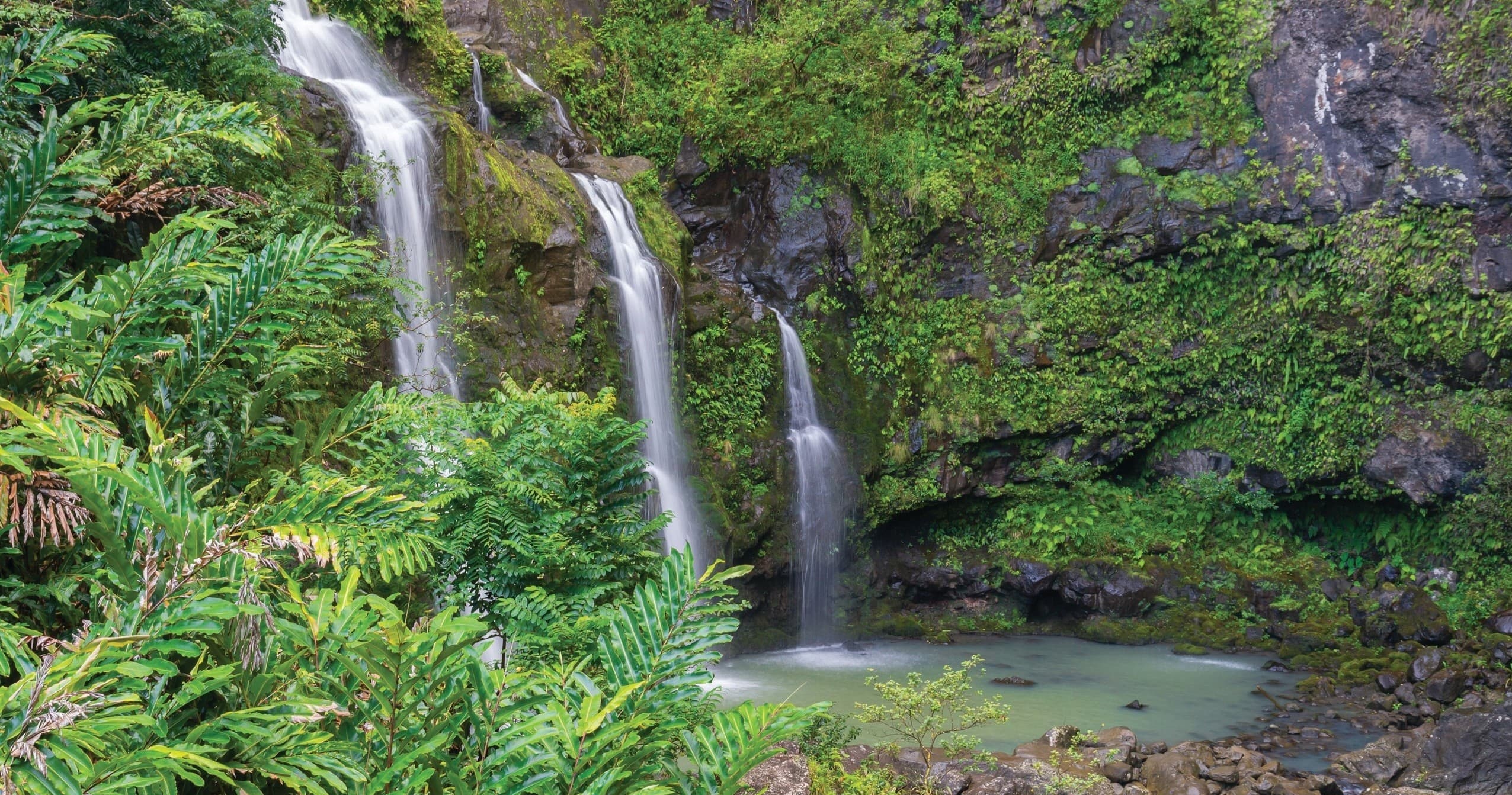 Road to Hana Adventure Tour in Maui, Hawaii