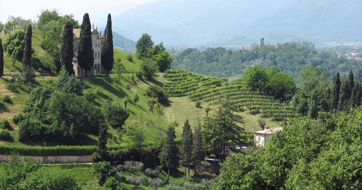 Cycling Through Treviso with Italy Cycling Tour in Conegliano