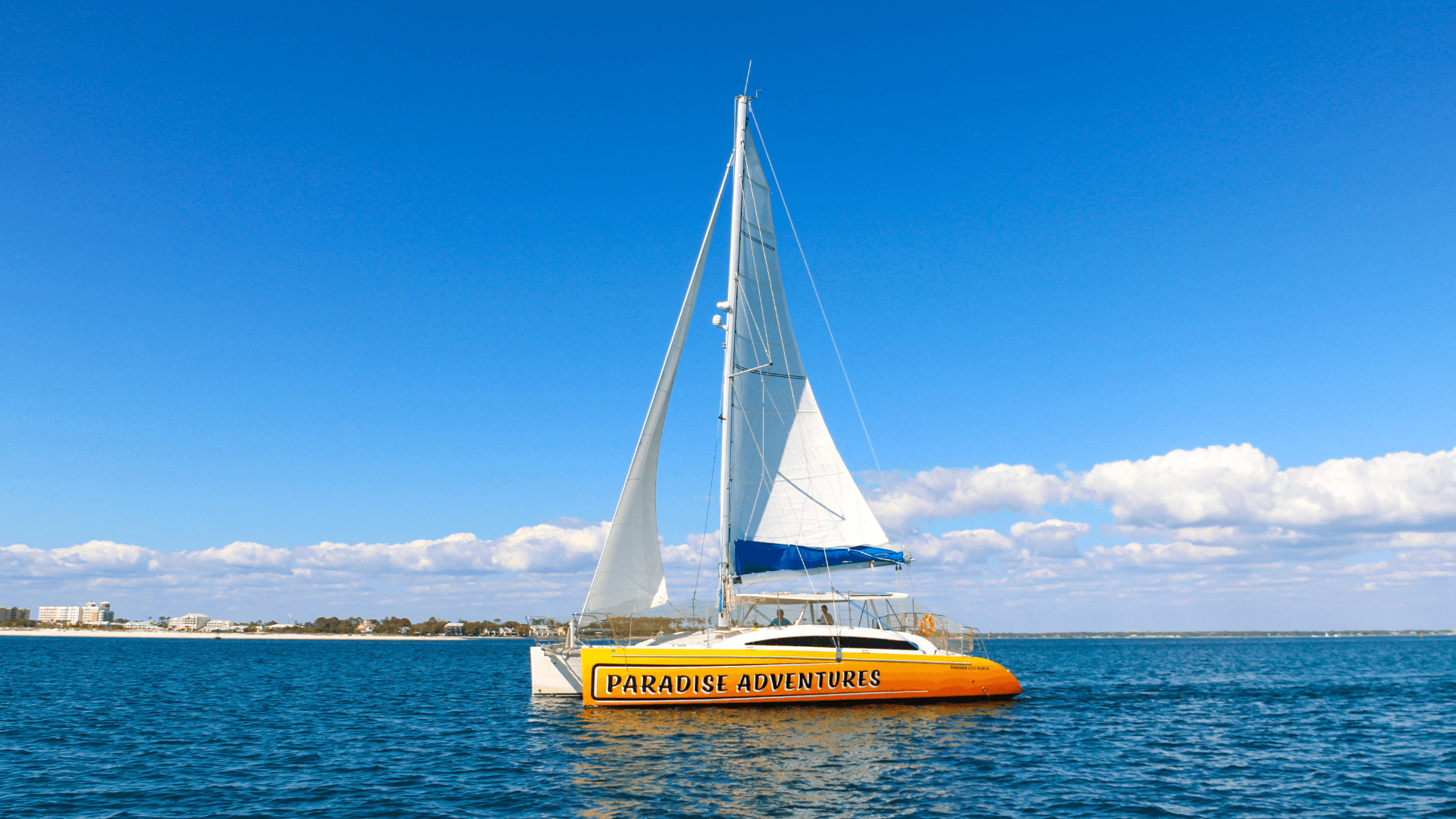Private Dolphin Sail on Lazy Daze Catamaran — Panama City Beach Gulf Encounter photo 4