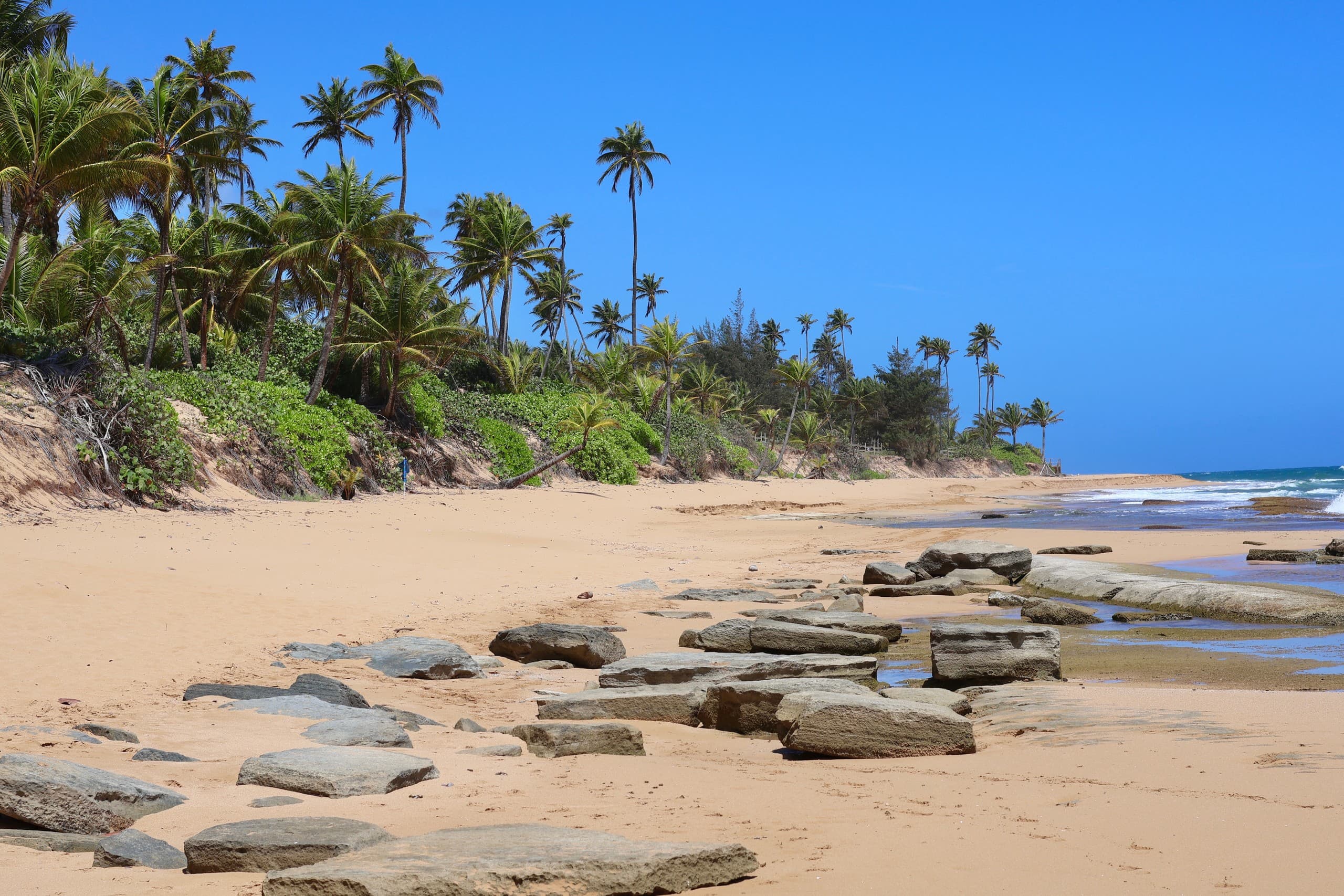 Wide tropical beach with rock formations and palm trees
