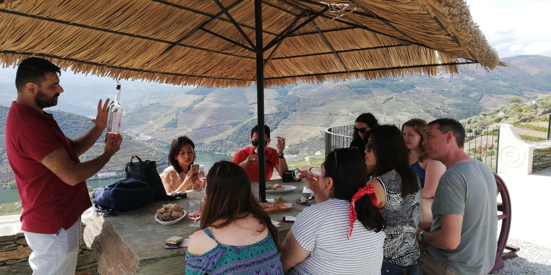 Wenowino’s Sparkling Wine Tours in Porto’s Vineyards