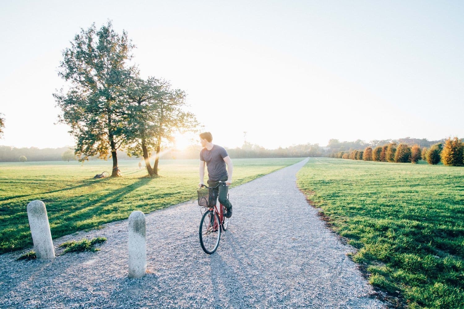 City Bike Tours with All Day Comfort in Central Park