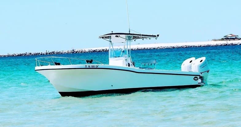Water Activities: Fintastic Adventures’ Dolphin Swim Experience
