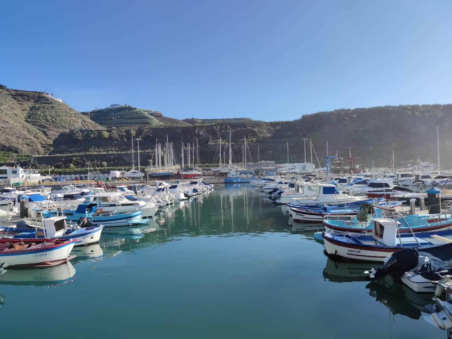 Whale and Dolphin Watching from Puerto de Tazacorte — 4-Hour La Palma Boat Trip