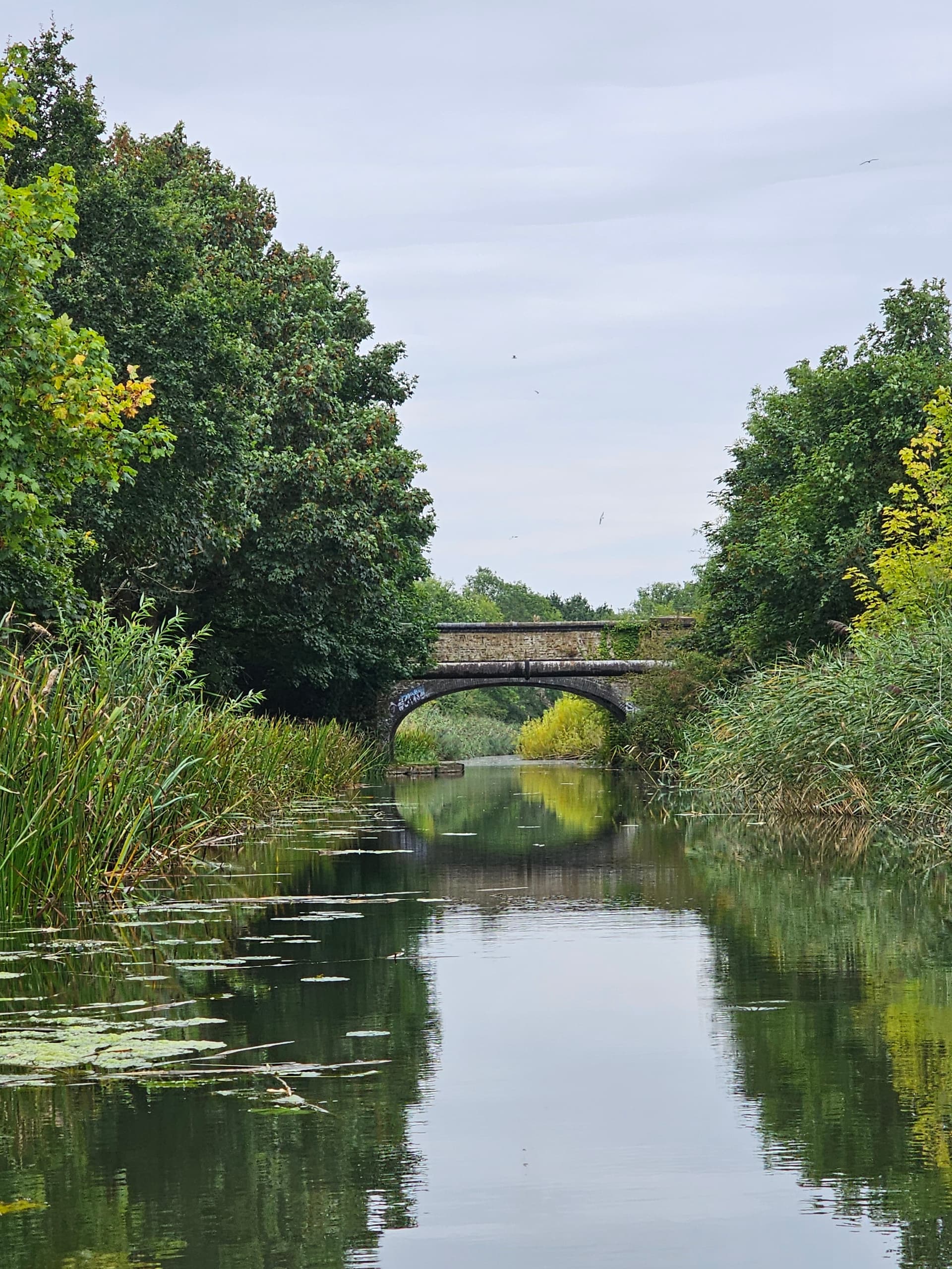 Uxbridge SUP Safari on the Grand Union Canal: 10km Slough Arm Paddle & Pub Lunch photo 1