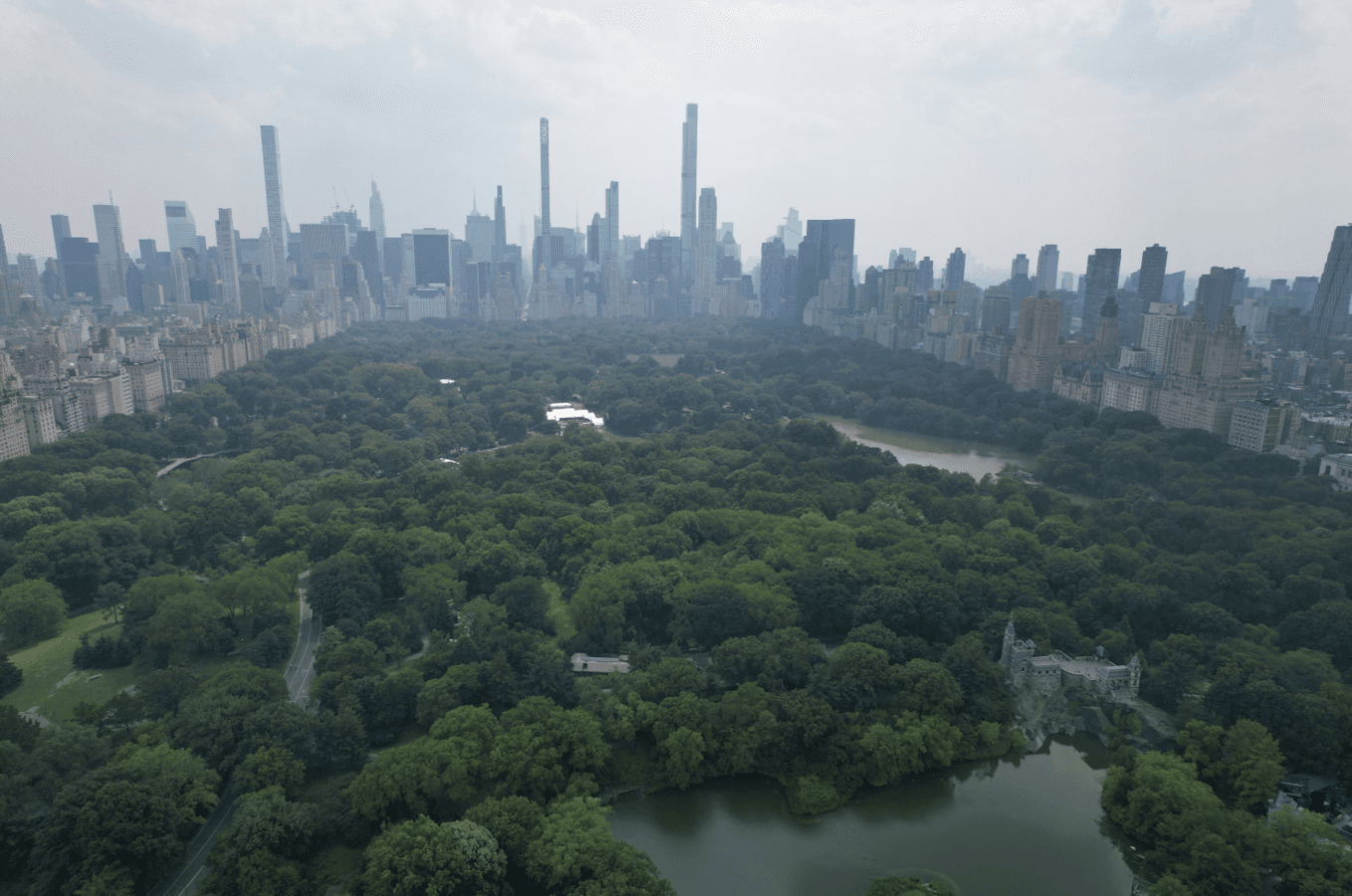 Experience New York’s Central Park Like Royalty on the Official VIP Horse Carriage Ride