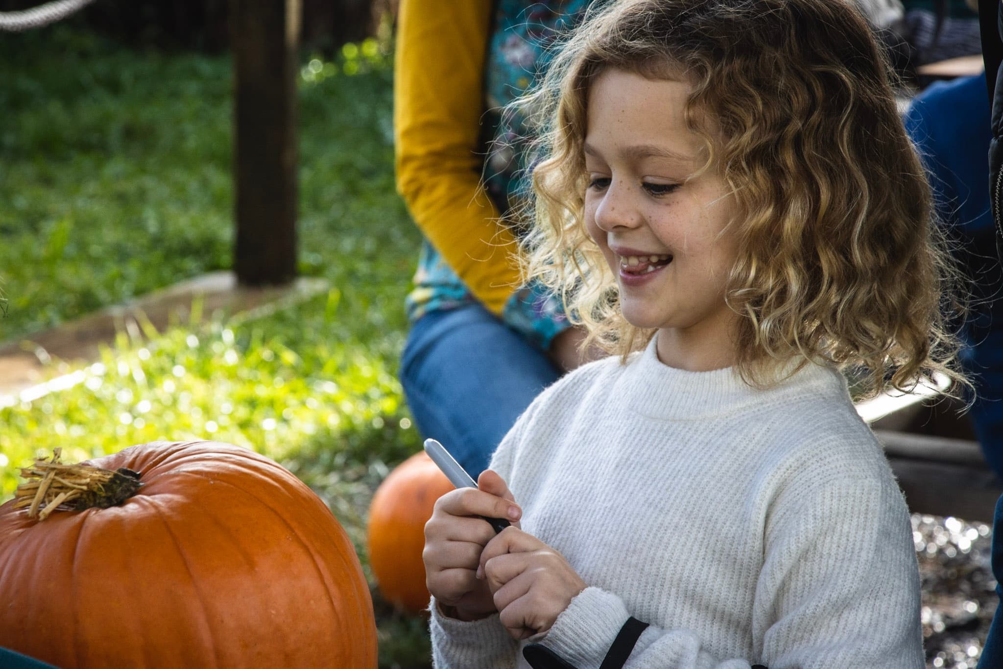 Outdoor Adventure & Family Fun at New Forest Activities