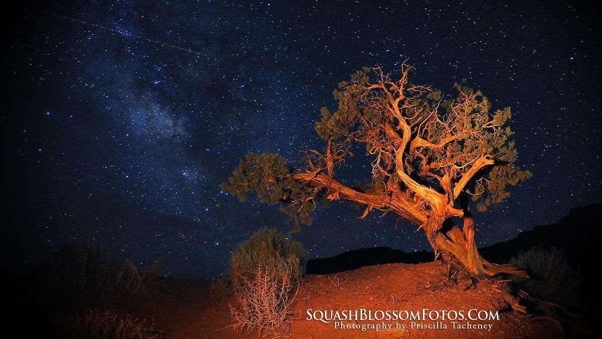 Lone tree under Milky Way, starry night desert landscape